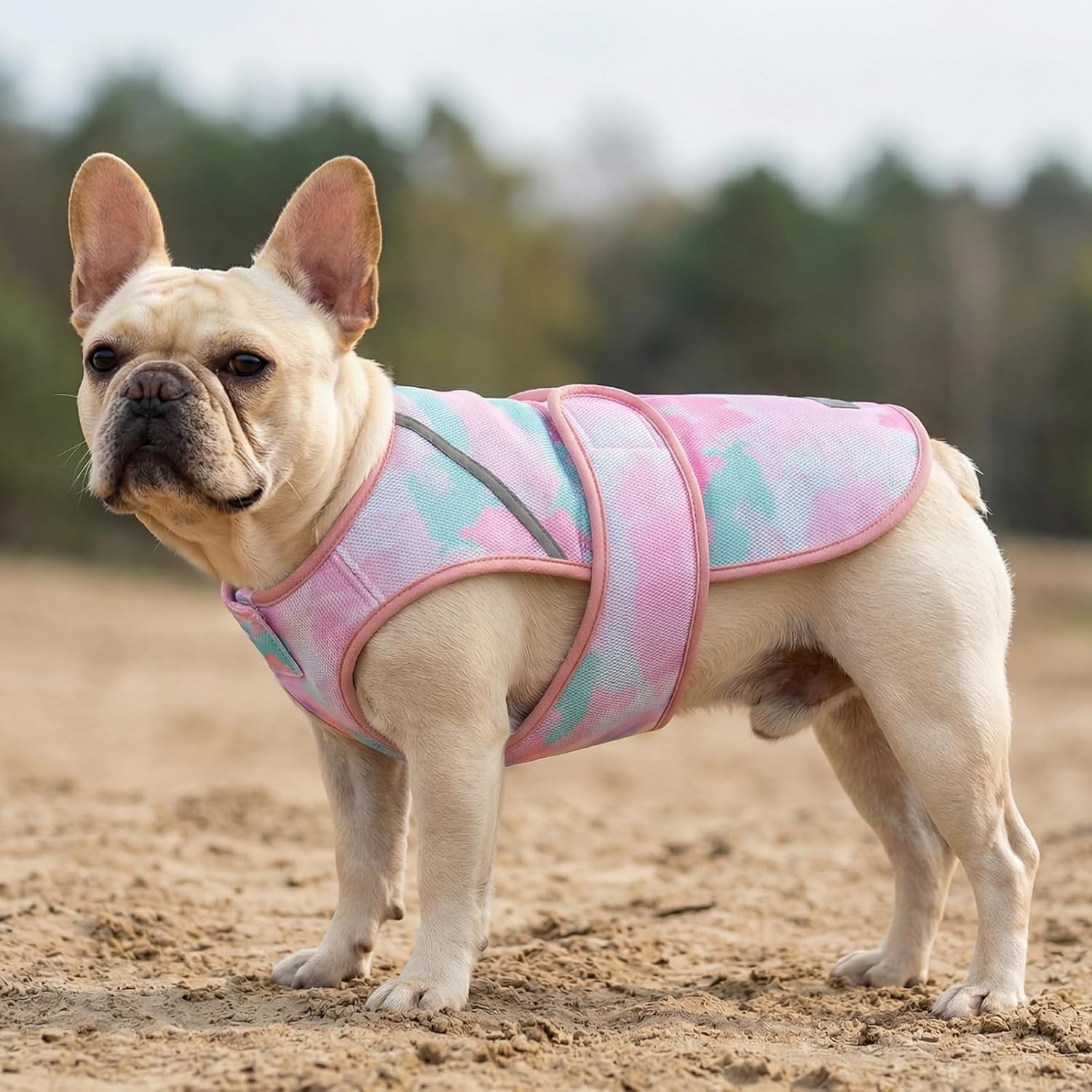 image:imageKYEESE Dog Cooling Vest Lightweight Dog Cooler Jacket 3D Breathable Mesh Pet Cooling Shirts for Summer with Reflective Stripe Sun Protection Pet T Shirt for Beach Hiking Walking Blue LPink