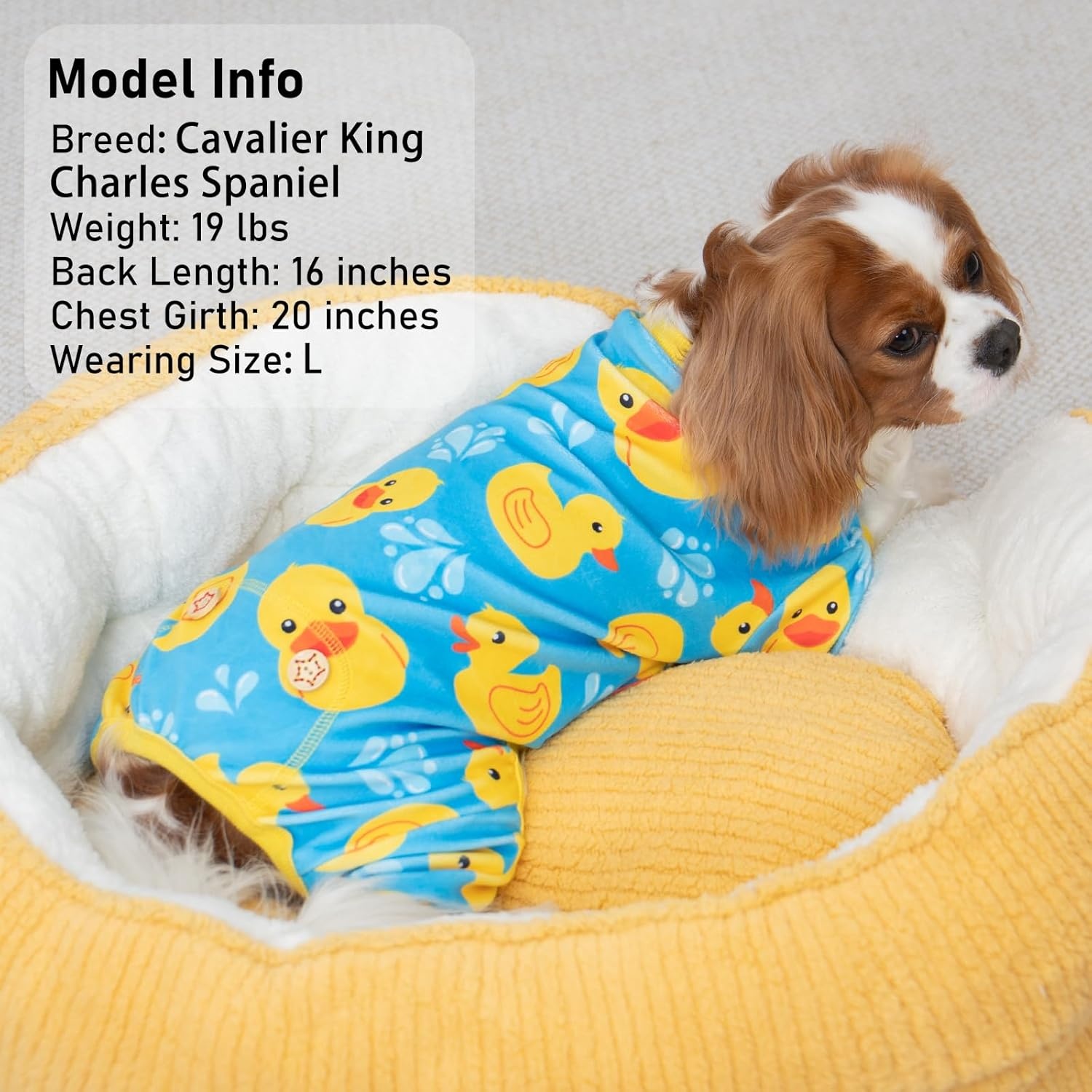 image:imageKYEESE Dog Pajamas Soft Dog Pajamas for Small Dogs Boy Girl Stretchy Dogs Pjs Velvet Pet Jumpsuit Sleepwear Comfy Jammies Lightweight Pet Onesie Outfit Donut M09 Blue Floating Duck