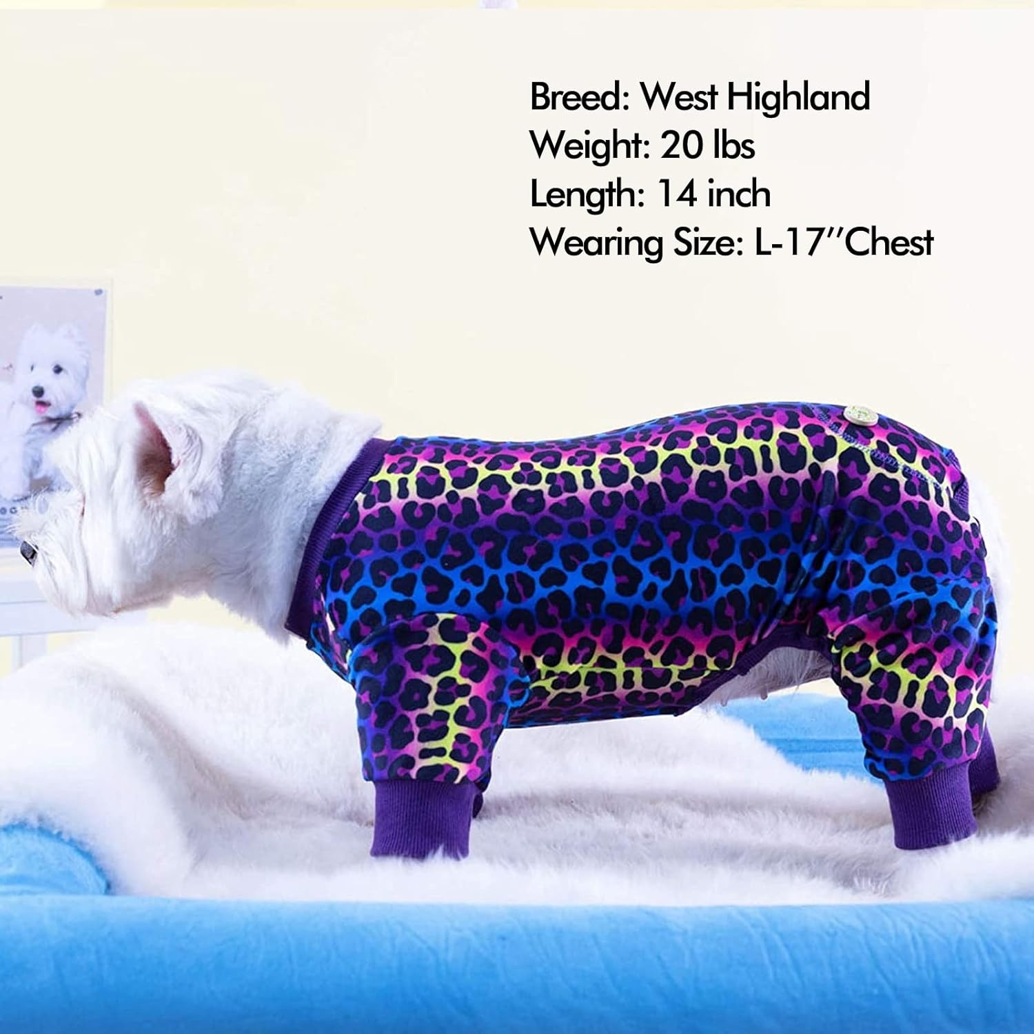 image:imageKYEESE Dog Pajamas Soft Dog Pajamas for Small Dogs Boy Girl Stretchy Dogs Pjs Velvet Pet Jumpsuit Sleepwear Comfy Jammies Lightweight Pet Onesie Outfit Donut M04 Leopard