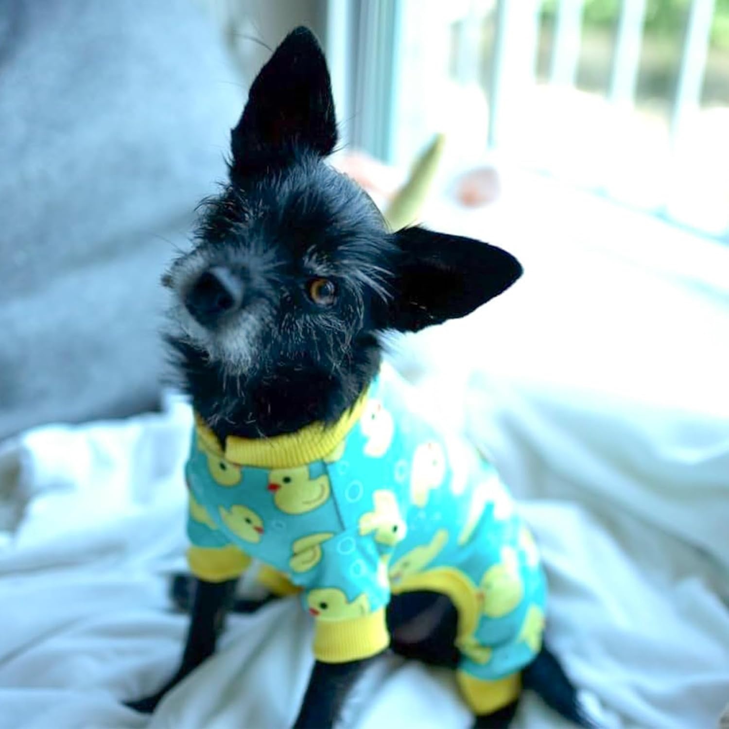 image:imageKYEESE Dog Pajamas Soft Dog Pajamas for Small Dogs Boy Girl Stretchy Dogs Pjs Velvet Pet Jumpsuit Sleepwear Comfy Jammies Lightweight Pet Onesie Outfit Donut M01 Yellow Duck