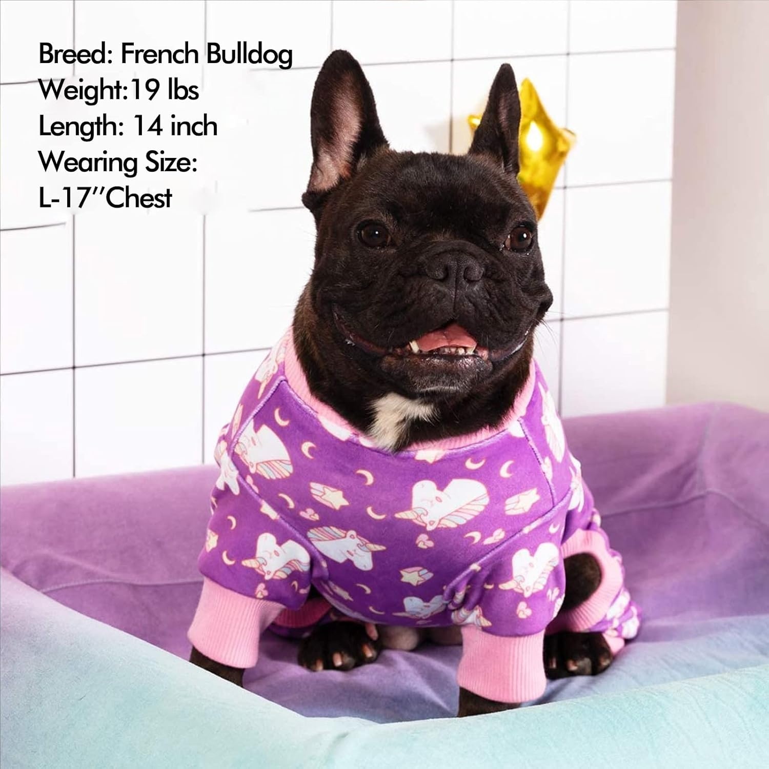 image:imageKYEESE Dog Pajamas Soft Dog Pajamas for Small Dogs Boy Girl Stretchy Dogs Pjs Velvet Pet Jumpsuit Sleepwear Comfy Jammies Lightweight Pet Onesie Outfit Donut M02 Unicorn Purple