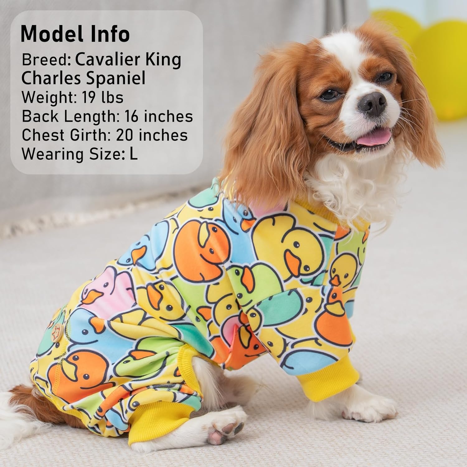image:imageKYEESE Dog Pajamas Soft Dog Pajamas for Small Dogs Boy Girl Stretchy Dogs Pjs Velvet Pet Jumpsuit Sleepwear Comfy Jammies Lightweight Pet Onesie Outfit Donut M08 Colorful Duck