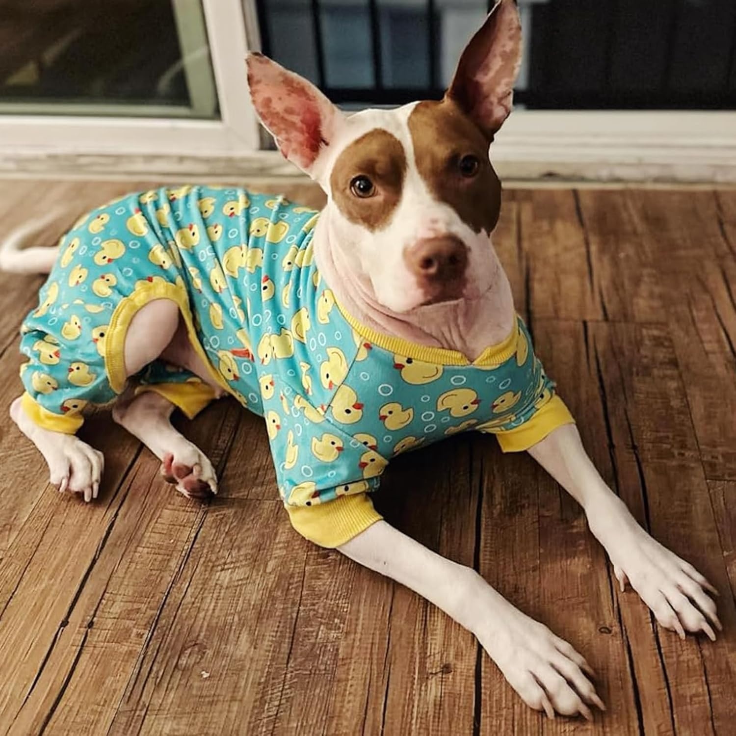 image:imageKYEESE Dog Pajamas Soft Dog Pajamas for Small Dogs Boy Girl Stretchy Dogs Pjs Velvet Pet Jumpsuit Sleepwear Comfy Jammies Lightweight Pet Onesie Outfit Donut M01 Yellow Duck
