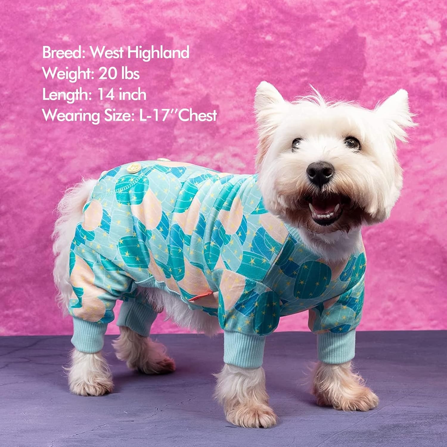 image:imageKYEESE Dog Pajamas Soft Dog Pajamas for Small Dogs Boy Girl Stretchy Dogs Pjs Velvet Pet Jumpsuit Sleepwear Comfy Jammies Lightweight Pet Onesie Outfit Donut M14 Cactus