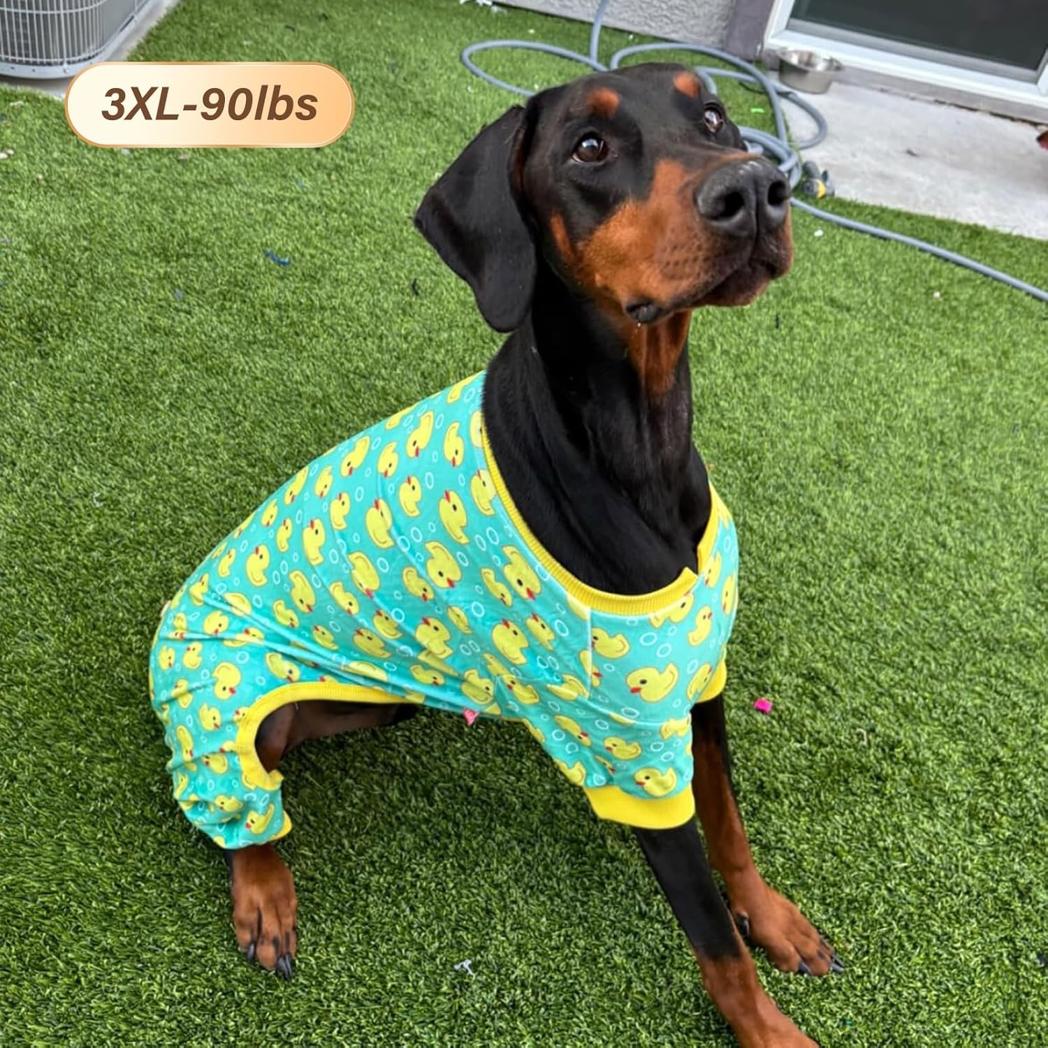 image:imageKYEESE Dog Pajamas Soft Dog Pajamas for Small Dogs Boy Girl Stretchy Dogs Pjs Velvet Pet Jumpsuit Sleepwear Comfy Jammies Lightweight Pet Onesie Outfit Donut M07 Whale