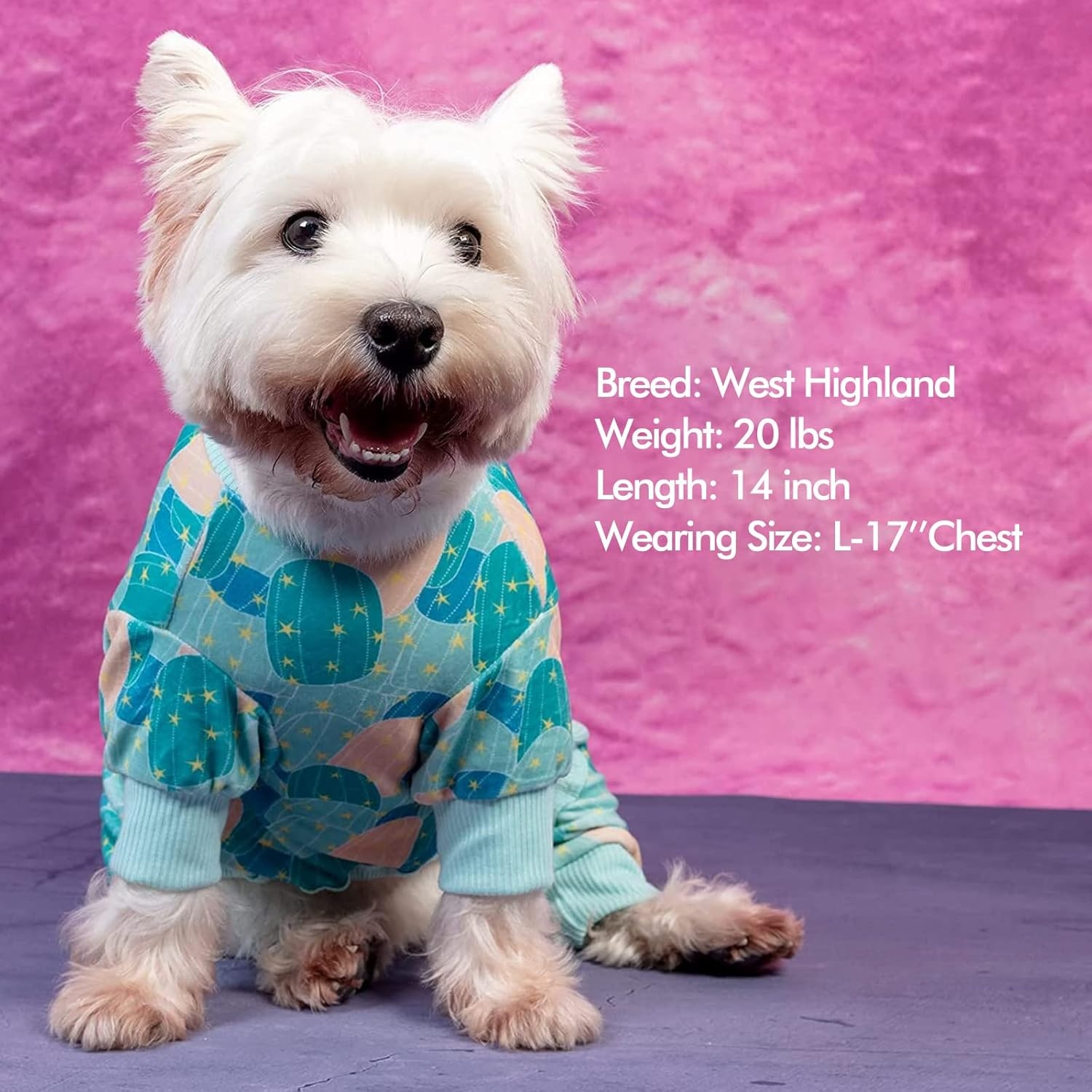 image:imageKYEESE Dog Pajamas Soft Dog Pajamas for Small Dogs Boy Girl Stretchy Dogs Pjs Velvet Pet Jumpsuit Sleepwear Comfy Jammies Lightweight Pet Onesie Outfit Donut M14 Cactus