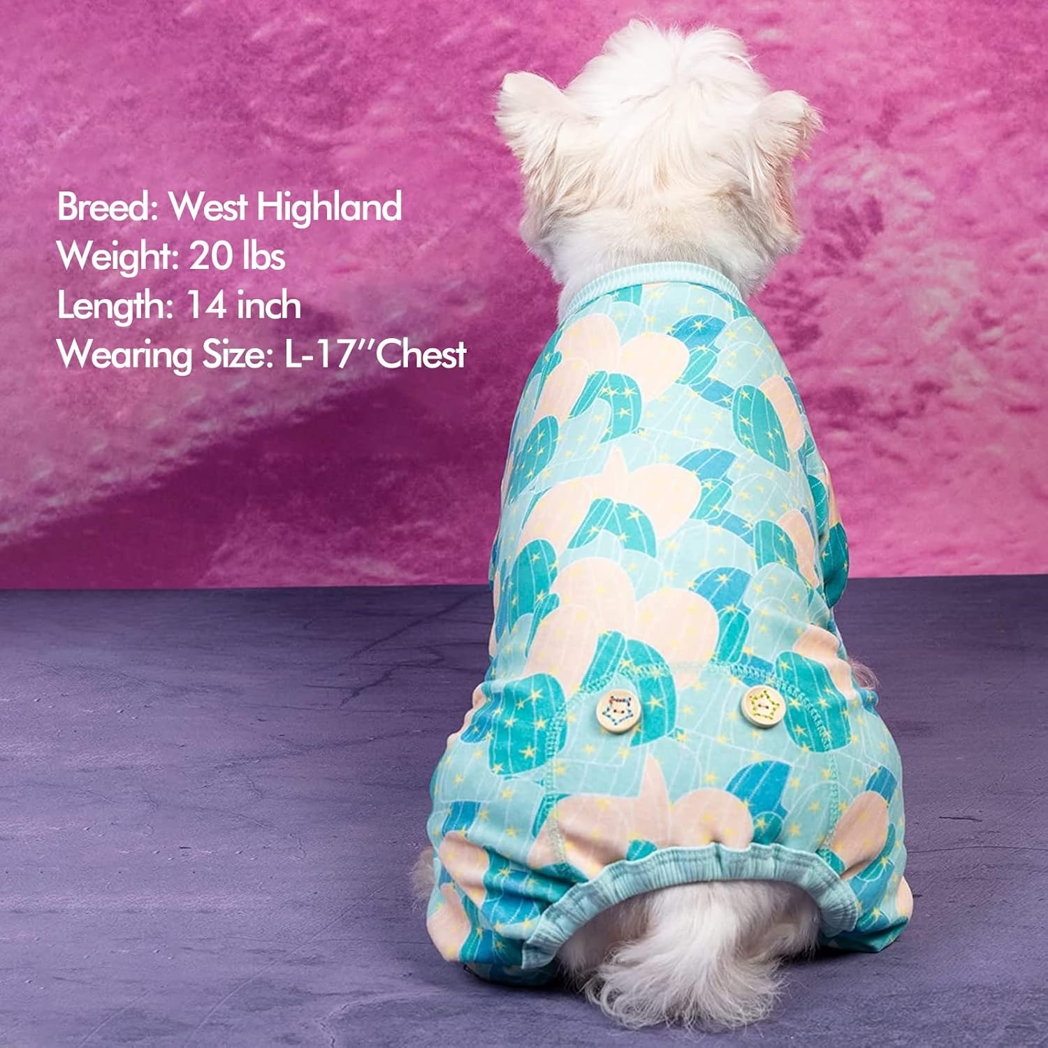 image:imageKYEESE Dog Pajamas Soft Dog Pajamas for Small Dogs Boy Girl Stretchy Dogs Pjs Velvet Pet Jumpsuit Sleepwear Comfy Jammies Lightweight Pet Onesie Outfit Donut M14 Cactus