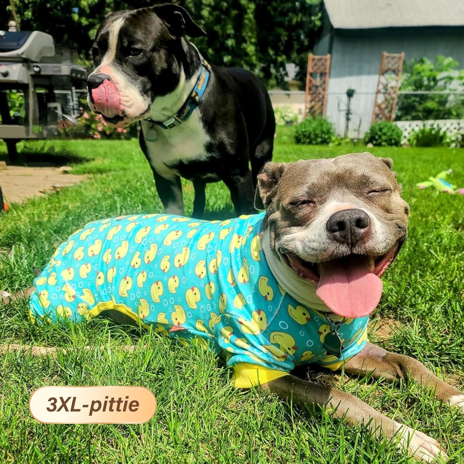 image:imageKYEESE Dog Pajamas Soft Dog Pajamas for Small Dogs Boy Girl Stretchy Dogs Pjs Velvet Pet Jumpsuit Sleepwear Comfy Jammies Lightweight Pet Onesie Outfit Donut M06 Construction Vehicles