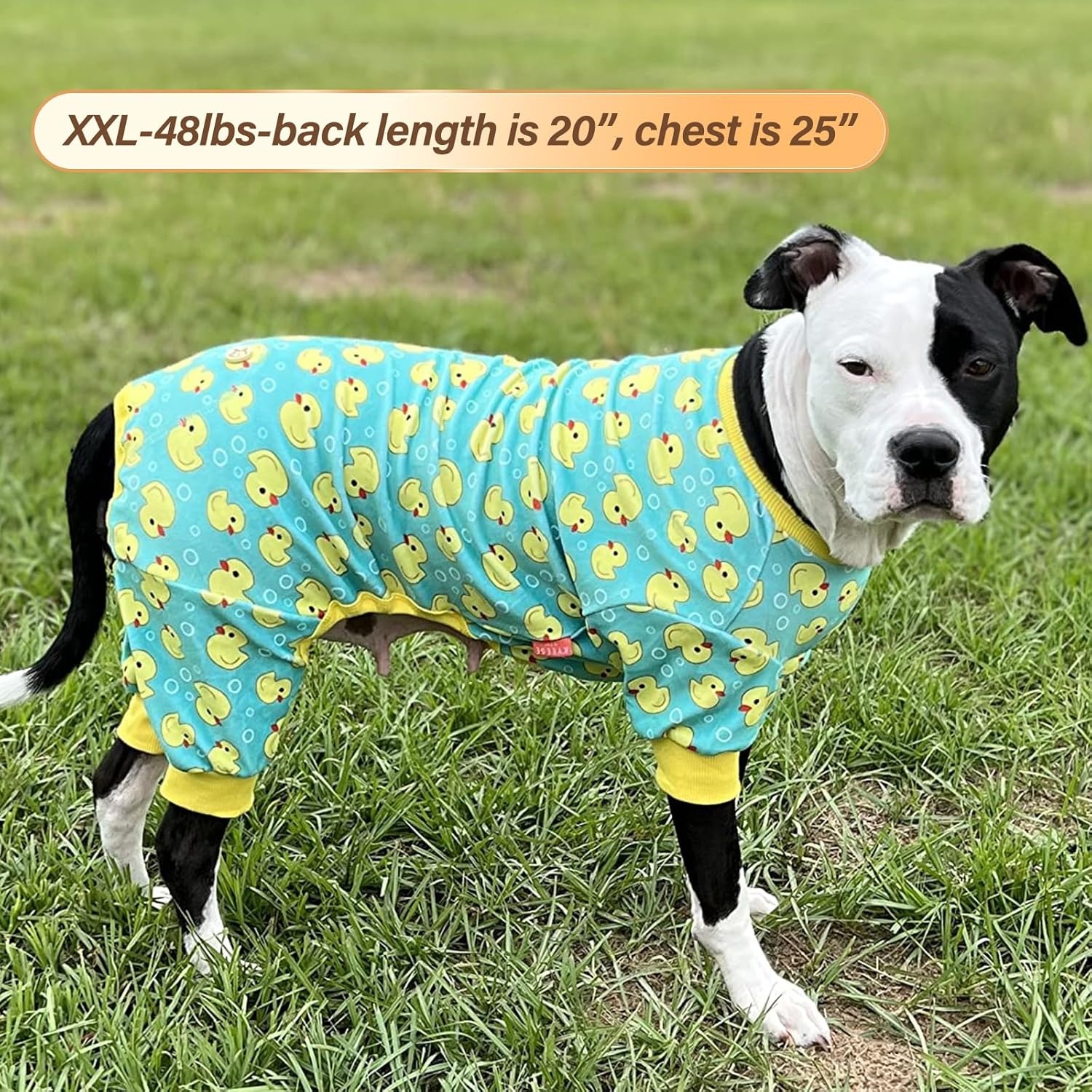 image:imageKYEESE Dog Pajamas Soft Dog Pajamas for Small Dogs Boy Girl Stretchy Dogs Pjs Velvet Pet Jumpsuit Sleepwear Comfy Jammies Lightweight Pet Onesie Outfit Donut M06 Construction Vehicles