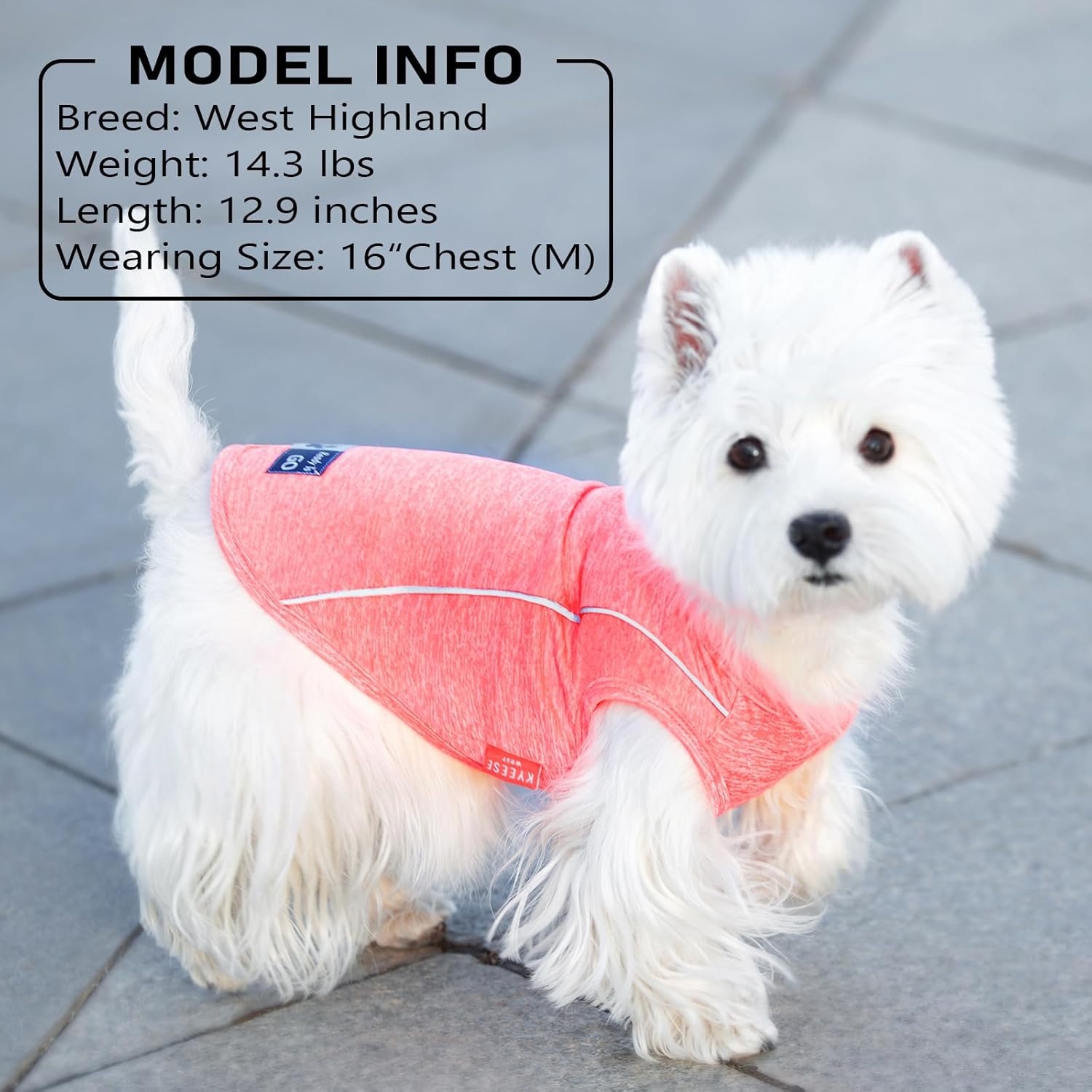 image:imageKYEESE Reflective Dog Shirt Lightweight Sun Protection Dog T Shirts for Small Dogs Boy Breathable Sleeveless Pet Tank Top High Visibility Summer Dogs Clothes for Night Walking Outdoor Blue M1Blue
