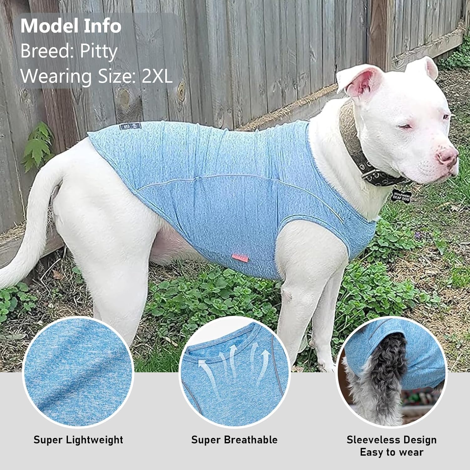 image:imageKYEESE Reflective Dog Shirt Lightweight Sun Protection Dog T Shirts for Small Dogs Boy Breathable Sleeveless Pet Tank Top High Visibility Summer Dogs Clothes for Night Walking Outdoor Blue M8 2Pack Lake BlueRose Red