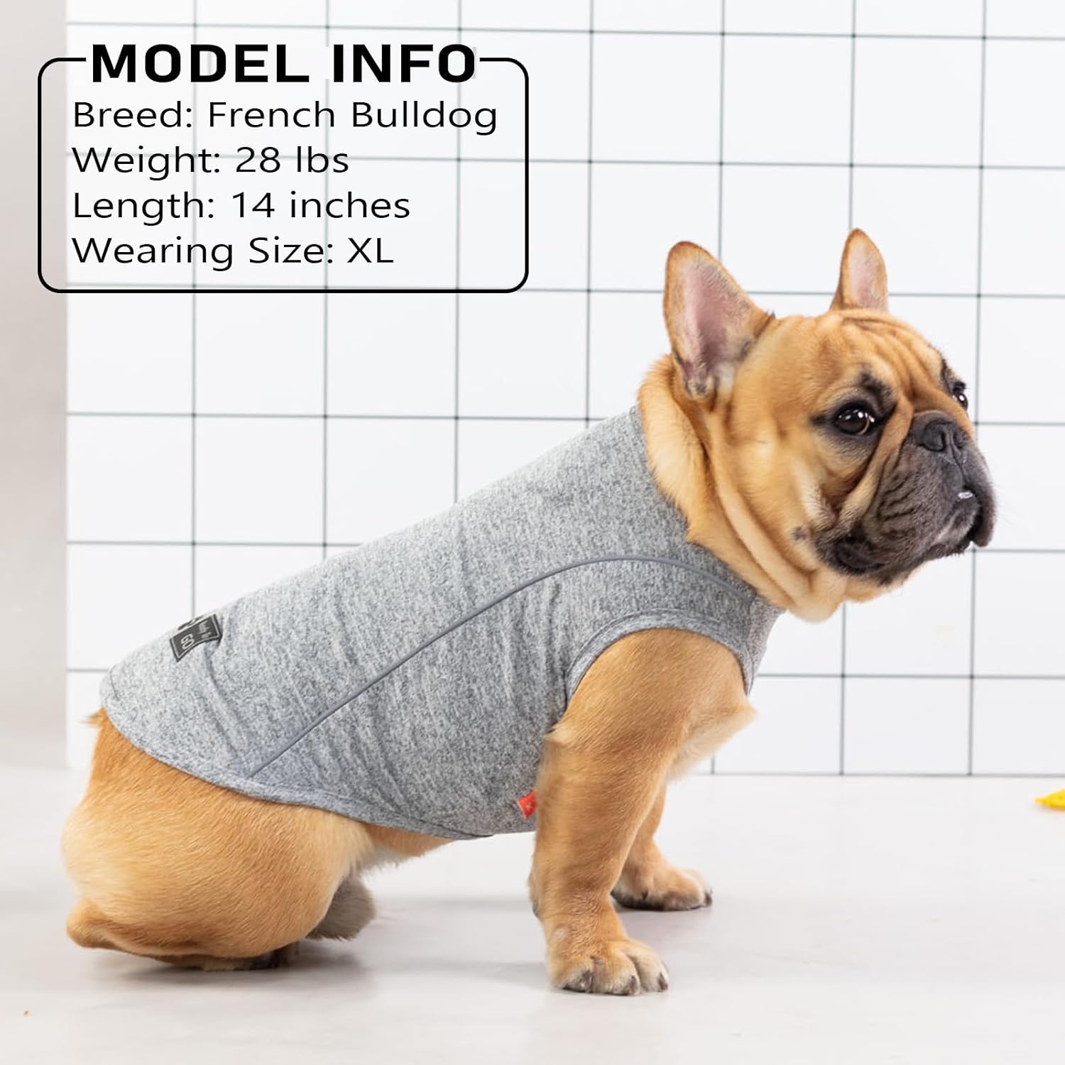 image:imageKYEESE Reflective Dog Shirt Lightweight Sun Protection Dog T Shirts for Small Dogs Boy Breathable Sleeveless Pet Tank Top High Visibility Summer Dogs Clothes for Night Walking Outdoor Blue M6 2Pack GreyBlue