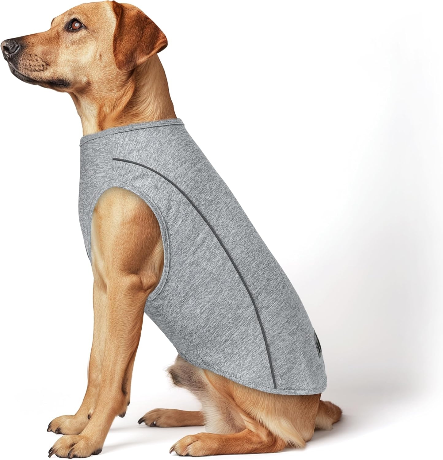 image:imageKYEESE Reflective Dog Shirt Lightweight Sun Protection Dog T Shirts for Small Dogs Boy Breathable Sleeveless Pet Tank Top High Visibility Summer Dogs Clothes for Night Walking Outdoor Blue M2Grey