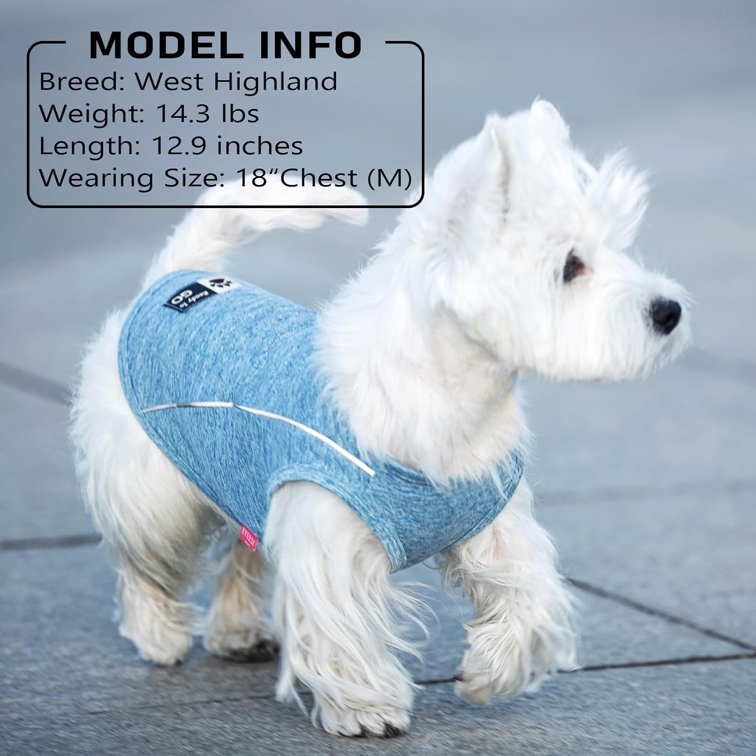 image:imageKYEESE Reflective Dog Shirt Lightweight Sun Protection Dog T Shirts for Small Dogs Boy Breathable Sleeveless Pet Tank Top High Visibility Summer Dogs Clothes for Night Walking Outdoor Blue M8 2Pack Lake BlueRose Red