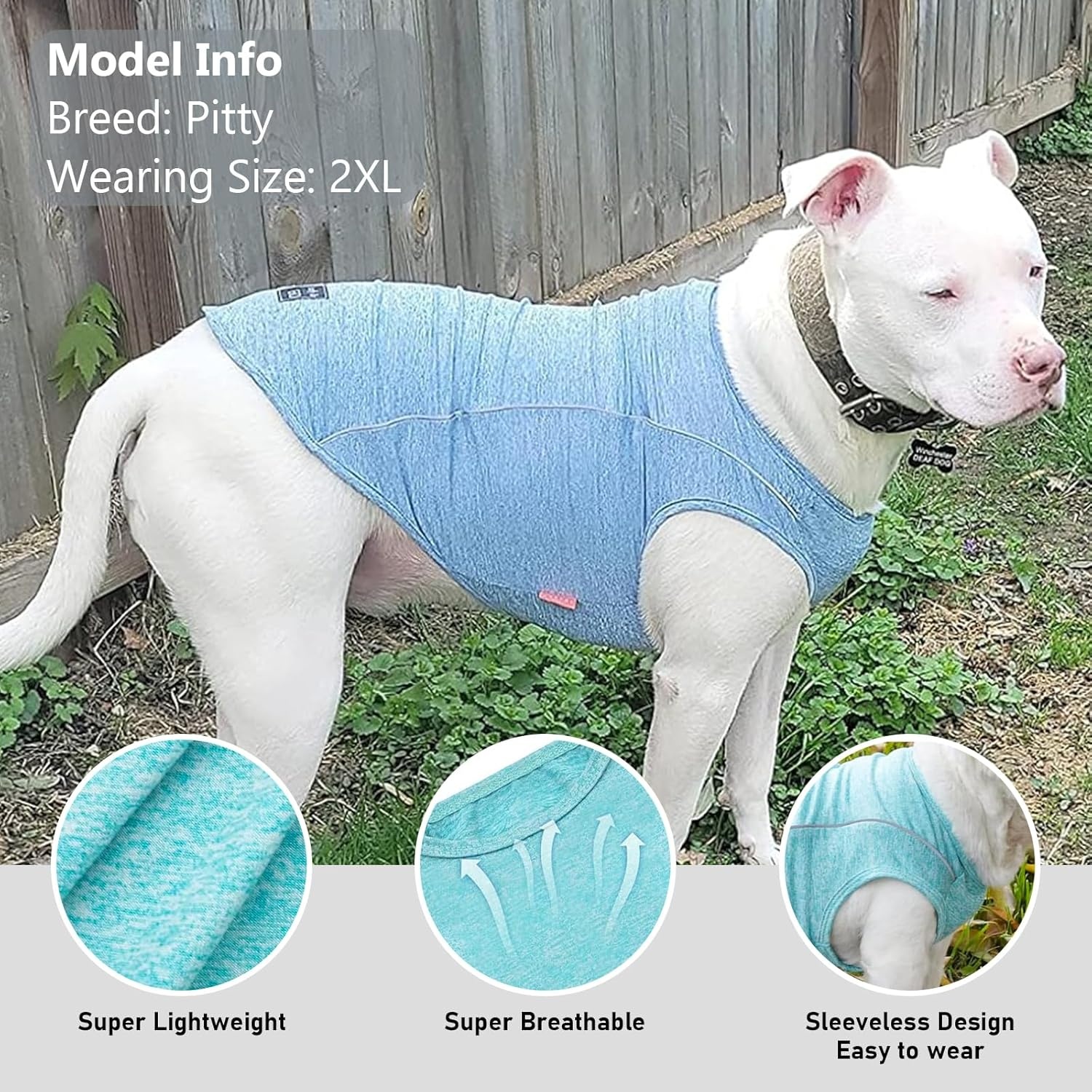 image:imageKYEESE Reflective Dog Shirt Lightweight Sun Protection Dog T Shirts for Small Dogs Boy Breathable Sleeveless Pet Tank Top High Visibility Summer Dogs Clothes for Night Walking Outdoor Blue M8 2Pack Lake BlueRose Red