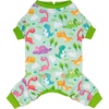 10# Colorful Dinosaursk