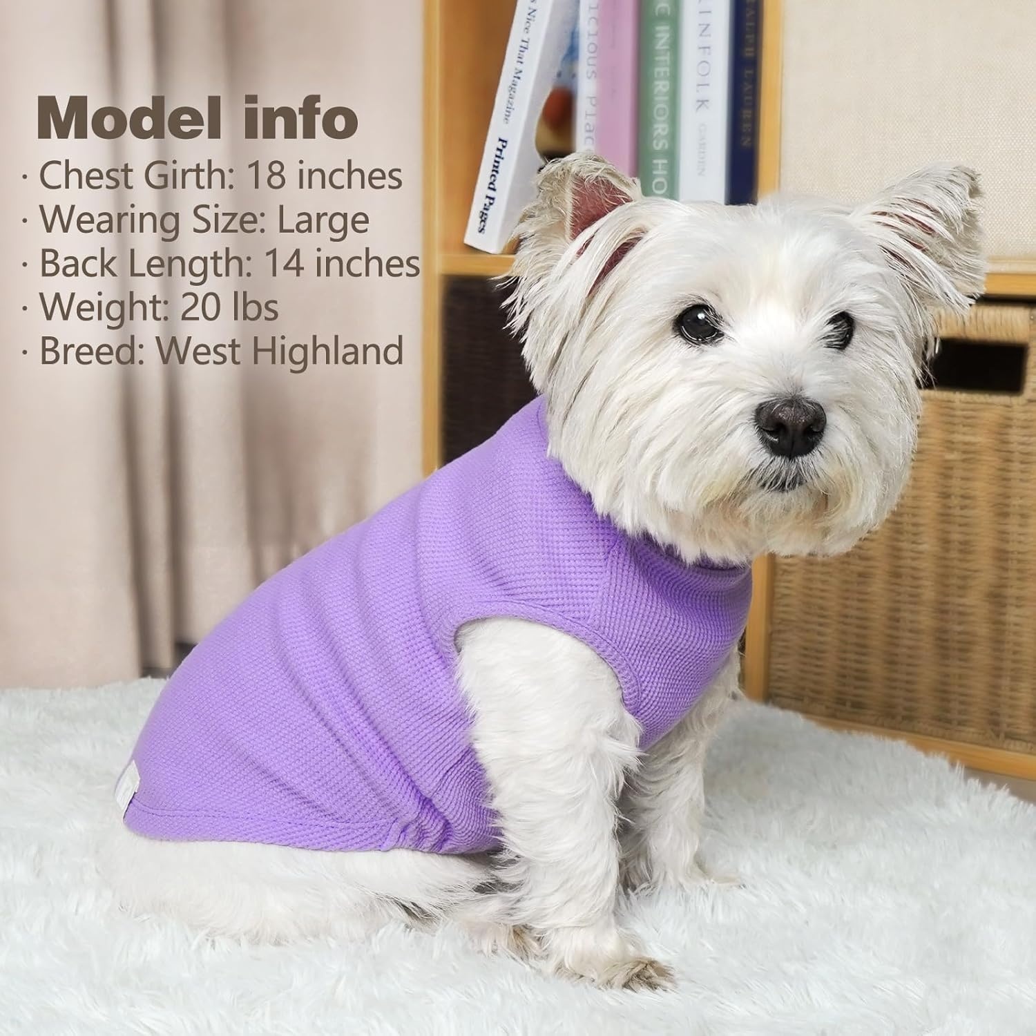 image:imageKYEESE 2Pack Waffle Dog Shirts Lightweight Sleeveless Dog T Shirts for Small Dogs Girl Breathable Pet Vest Comfort Tank Top Soft Dogs Clothes for Daily Wear PinkStriped M09 2PackPurpleGrey