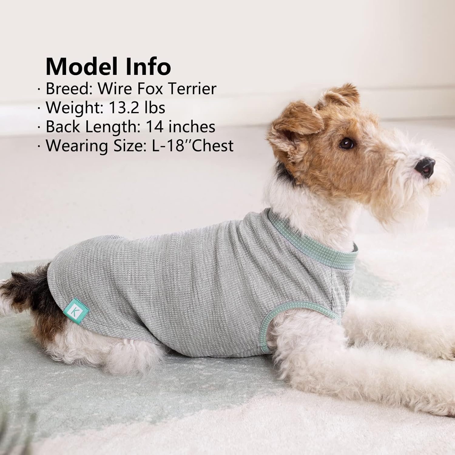 image:imageKYEESE 2Pack Waffle Dog Shirts Lightweight Sleeveless Dog T Shirts for Small Dogs Girl Breathable Pet Vest Comfort Tank Top Soft Dogs Clothes for Daily Wear PinkStriped M06 2PackGreenGrey
