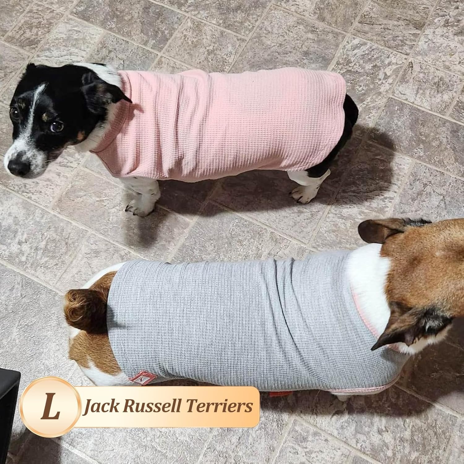 image:imageKYEESE 2Pack Waffle Dog Shirts Lightweight Sleeveless Dog T Shirts for Small Dogs Girl Breathable Pet Vest Comfort Tank Top Soft Dogs Clothes for Daily Wear PinkStriped M08 2PackGreenGrey
