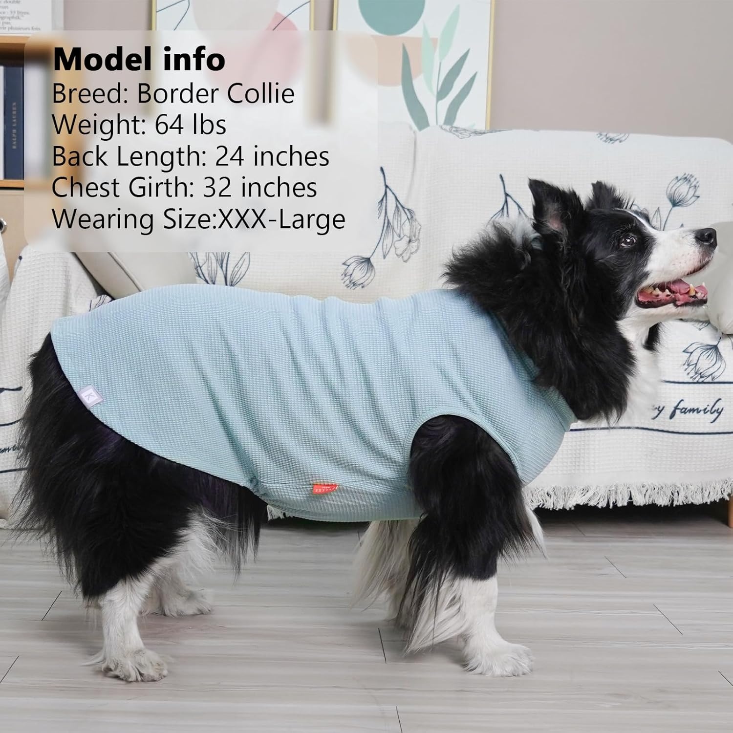 image:imageKYEESE 2Pack Waffle Dog Shirts Lightweight Sleeveless Dog T Shirts for Small Dogs Girl Breathable Pet Vest Comfort Tank Top Soft Dogs Clothes for Daily Wear PinkStriped M07 2PackBlueGrey