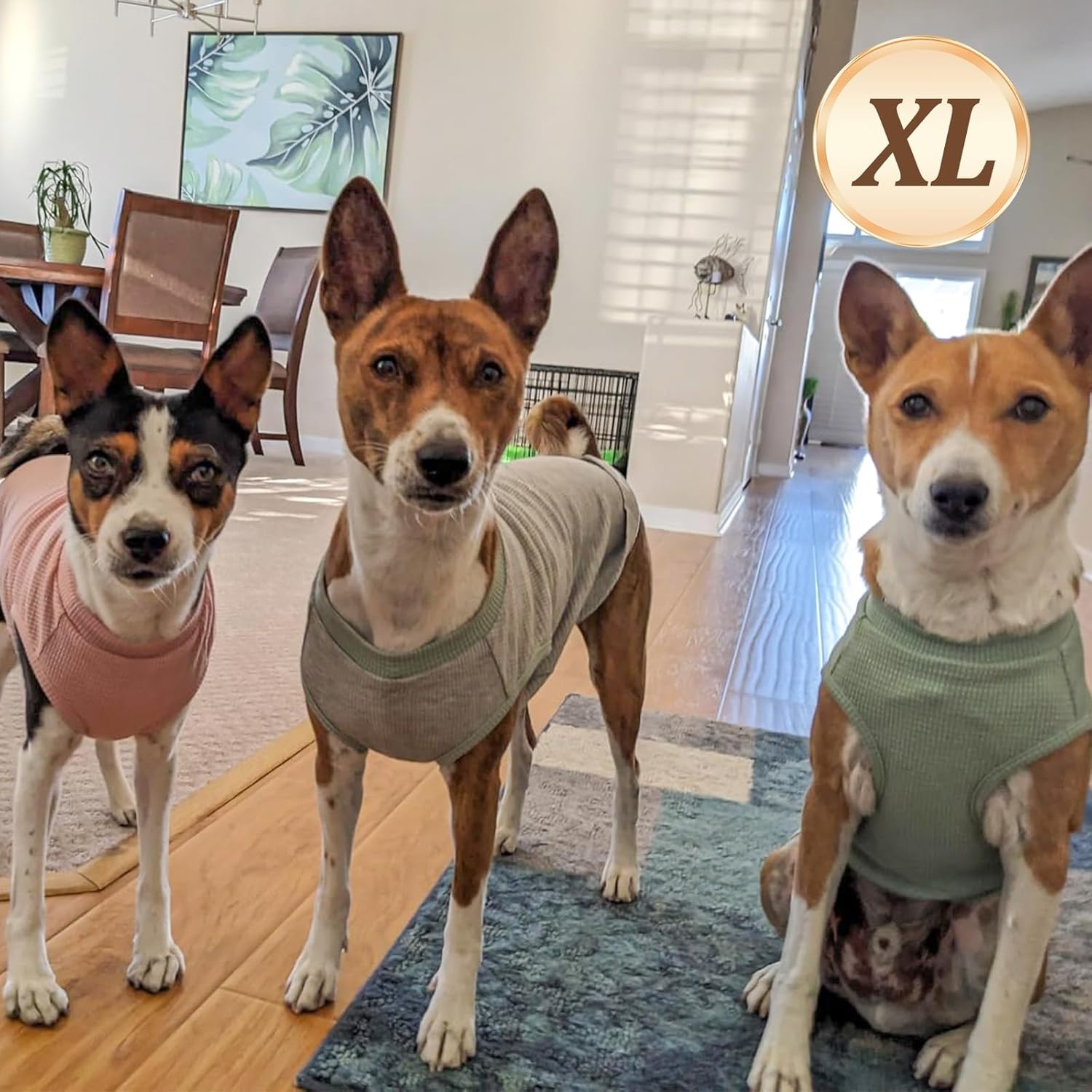 image:imageKYEESE 2Pack Waffle Dog Shirts Lightweight Sleeveless Dog T Shirts for Small Dogs Girl Breathable Pet Vest Comfort Tank Top Soft Dogs Clothes for Daily Wear PinkStriped M09 2PackPurpleGrey