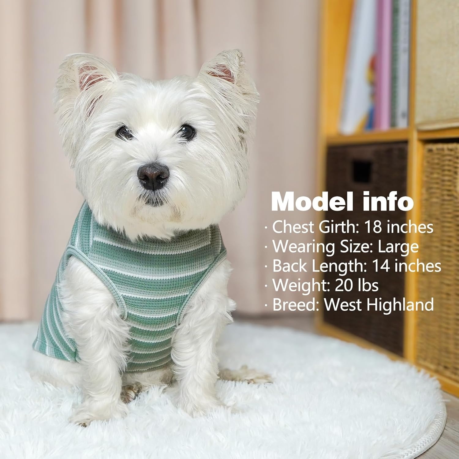 image:imageKYEESE 2Pack Waffle Dog Shirts Lightweight Sleeveless Dog T Shirts for Small Dogs Girl Breathable Pet Vest Comfort Tank Top Soft Dogs Clothes for Daily Wear PinkStriped M01 2PackGreenStriped