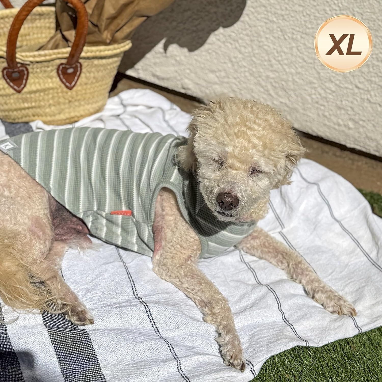 image:imageKYEESE 2Pack Waffle Dog Shirts Lightweight Sleeveless Dog T Shirts for Small Dogs Girl Breathable Pet Vest Comfort Tank Top Soft Dogs Clothes for Daily Wear PinkStriped M01 2PackGreenStriped