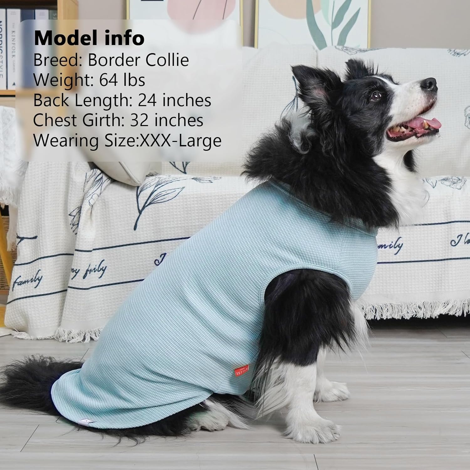 image:imageKYEESE 2Pack Waffle Dog Shirts Lightweight Sleeveless Dog T Shirts for Small Dogs Girl Breathable Pet Vest Comfort Tank Top Soft Dogs Clothes for Daily Wear PinkStriped M07 2PackBlueGrey