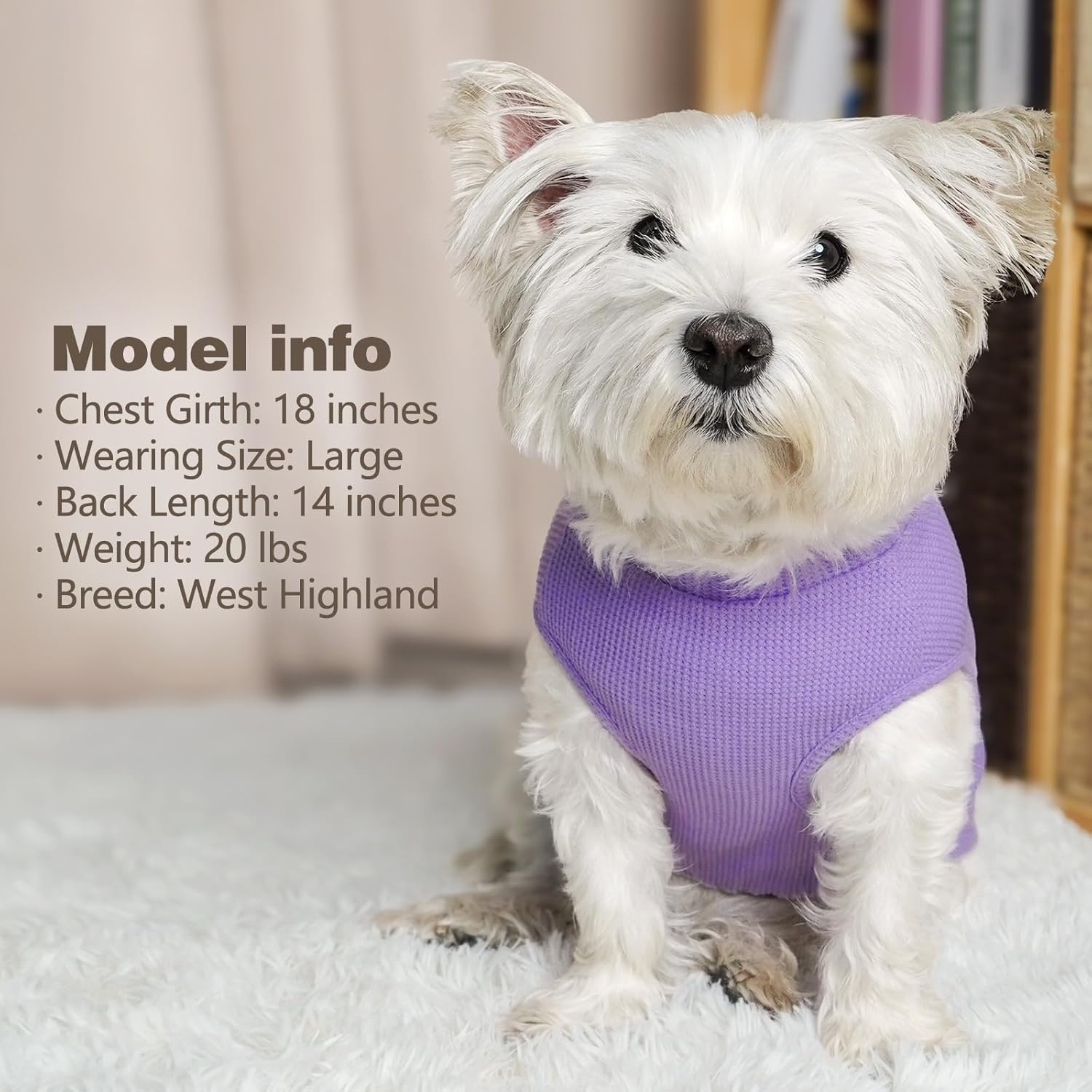 image:imageKYEESE 2Pack Waffle Dog Shirts Lightweight Sleeveless Dog T Shirts for Small Dogs Girl Breathable Pet Vest Comfort Tank Top Soft Dogs Clothes for Daily Wear PinkStriped M09 2PackPurpleGrey