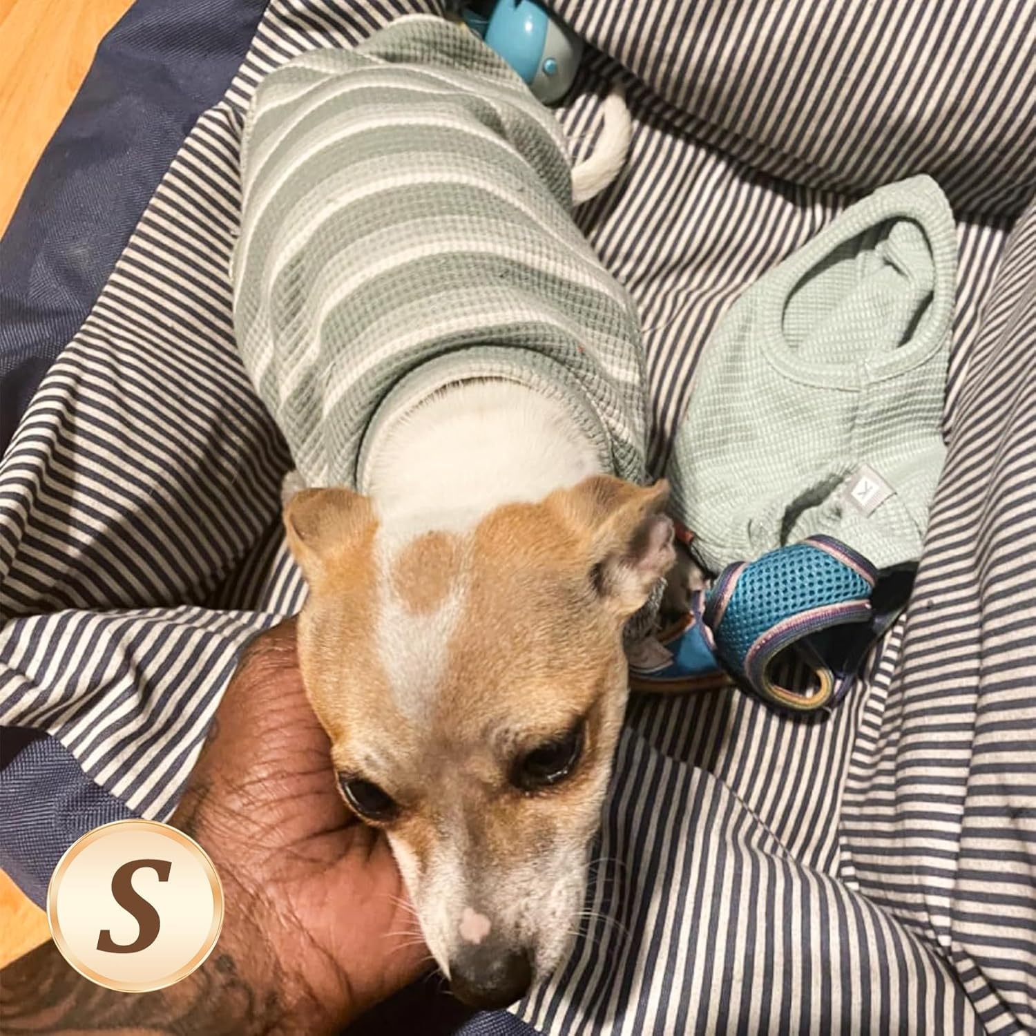 image:imageKYEESE 2Pack Waffle Dog Shirts Lightweight Sleeveless Dog T Shirts for Small Dogs Girl Breathable Pet Vest Comfort Tank Top Soft Dogs Clothes for Daily Wear PinkStriped M01 2PackGreenStriped