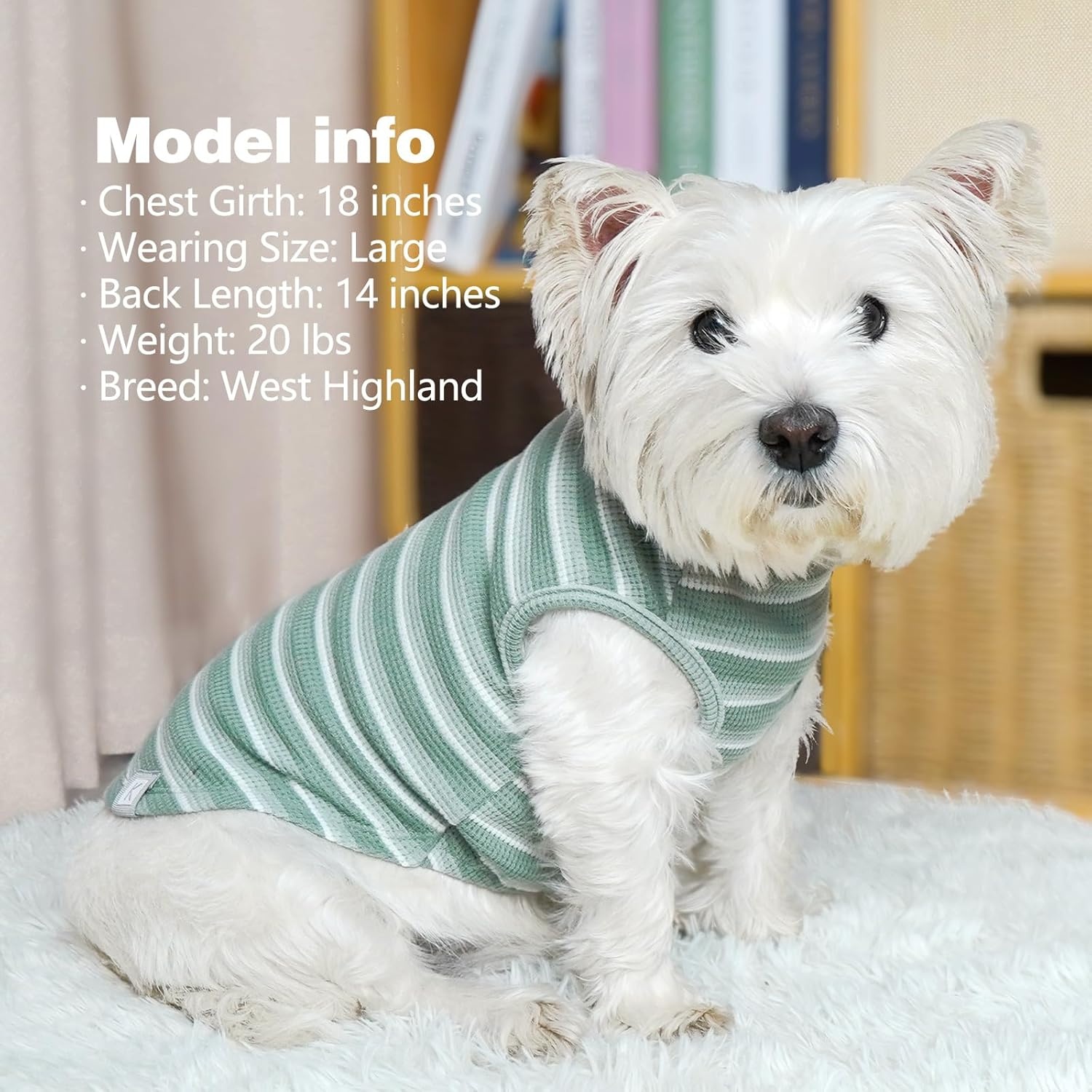 image:imageKYEESE 2Pack Waffle Dog Shirts Lightweight Sleeveless Dog T Shirts for Small Dogs Girl Breathable Pet Vest Comfort Tank Top Soft Dogs Clothes for Daily Wear PinkStriped M01 2PackGreenStriped