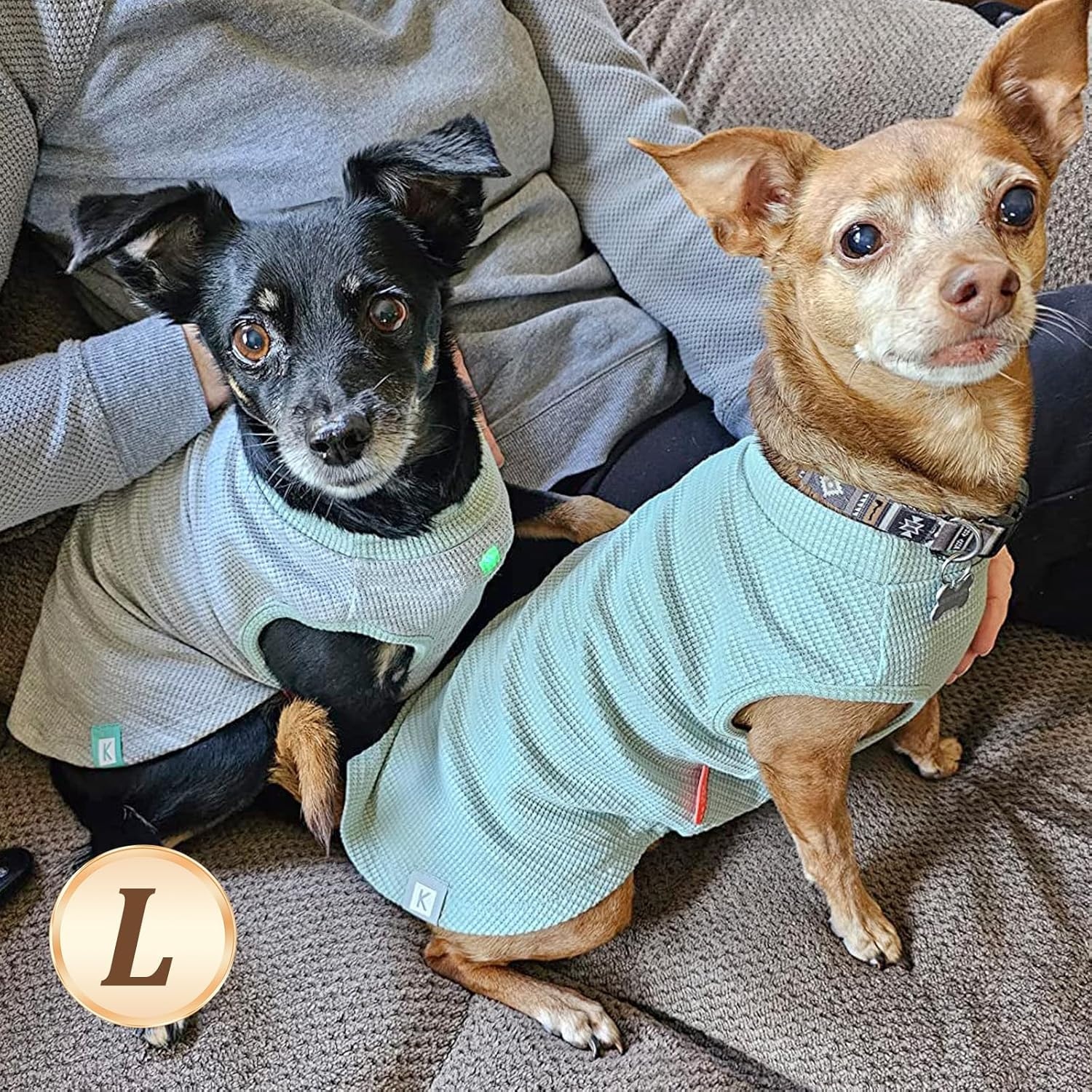 image:imageKYEESE 2Pack Waffle Dog Shirts Lightweight Sleeveless Dog T Shirts for Small Dogs Girl Breathable Pet Vest Comfort Tank Top Soft Dogs Clothes for Daily Wear PinkStriped M06 2PackGreenGrey