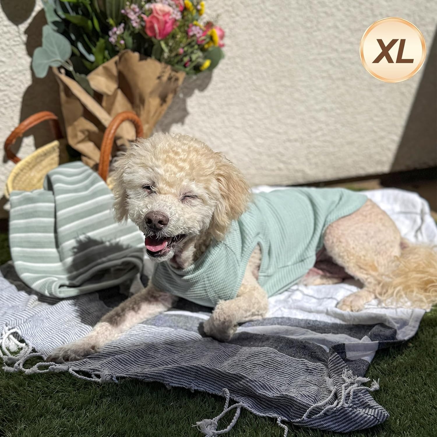image:imageKYEESE 2Pack Waffle Dog Shirts Lightweight Sleeveless Dog T Shirts for Small Dogs Girl Breathable Pet Vest Comfort Tank Top Soft Dogs Clothes for Daily Wear PinkStriped M01 2PackGreenStriped