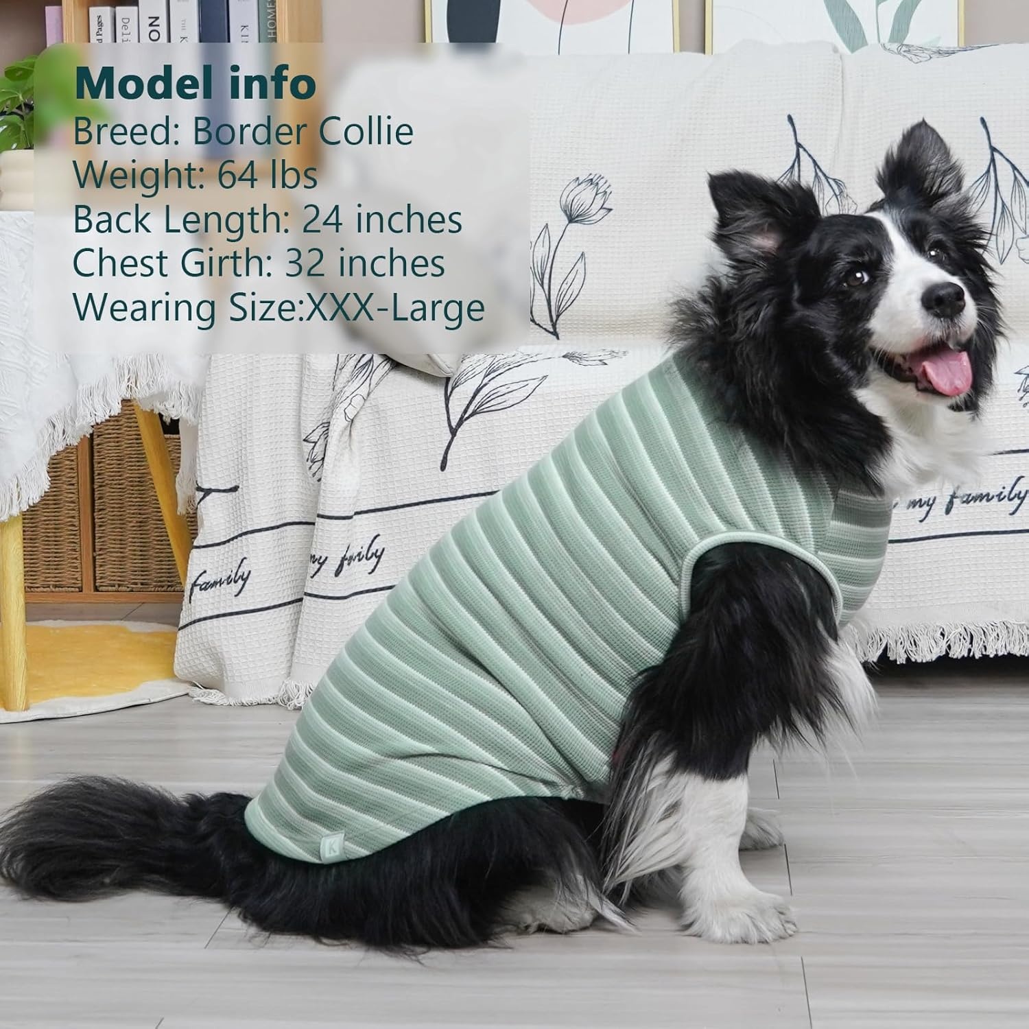 image:imageKYEESE 2Pack Waffle Dog Shirts Lightweight Sleeveless Dog T Shirts for Small Dogs Girl Breathable Pet Vest Comfort Tank Top Soft Dogs Clothes for Daily Wear PinkStriped M01 2PackGreenStriped