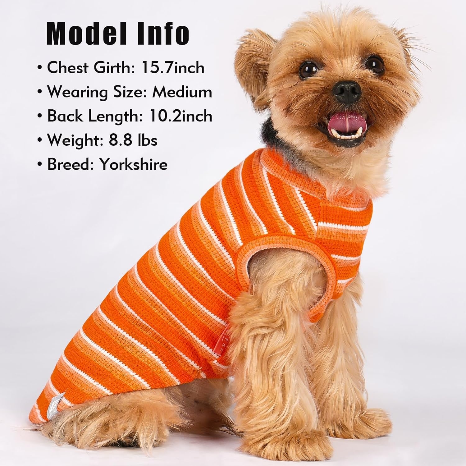 image:imageKYEESE 2Pack Waffle Dog Shirts Lightweight Sleeveless Dog T Shirts for Small Dogs Girl Breathable Pet Vest Comfort Tank Top Soft Dogs Clothes for Daily Wear PinkStriped M03 2PackorangeStriped