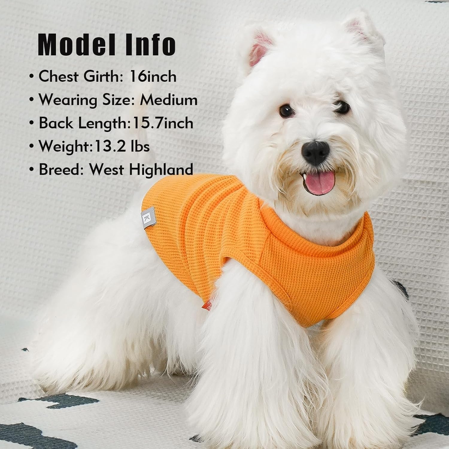 image:imageKYEESE 2Pack Waffle Dog Shirts Lightweight Sleeveless Dog T Shirts for Small Dogs Girl Breathable Pet Vest Comfort Tank Top Soft Dogs Clothes for Daily Wear PinkStriped M03 2PackorangeStriped