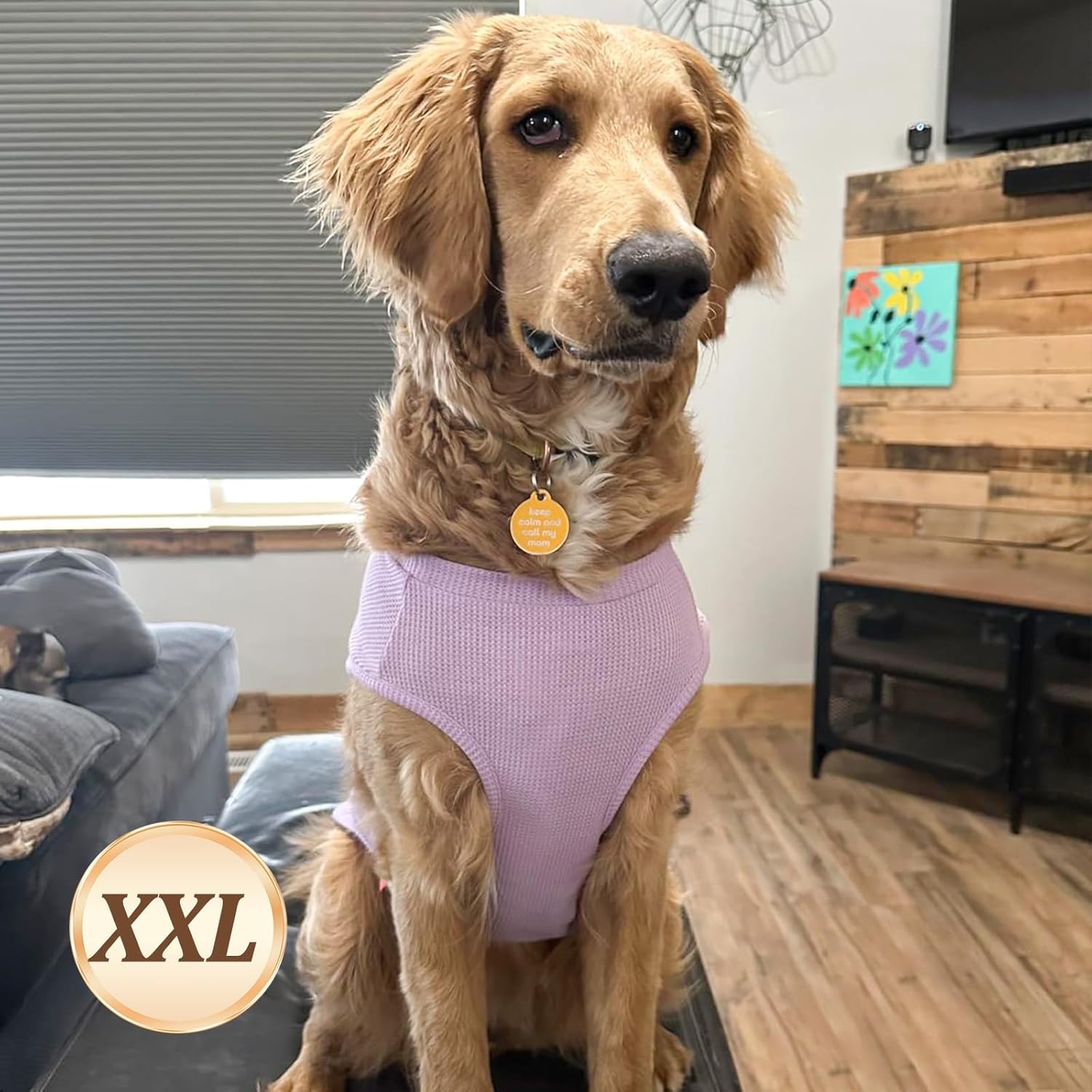 image:imageKYEESE 2Pack Waffle Dog Shirts Lightweight Sleeveless Dog T Shirts for Small Dogs Girl Breathable Pet Vest Comfort Tank Top Soft Dogs Clothes for Daily Wear PinkStriped M09 2PackPurpleGrey