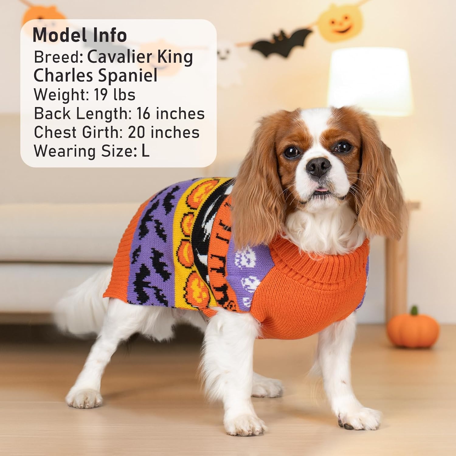 image:imageKYEESE Dog Christmas Sweater with Reindeer Pattern Cozy Festival Dog Sweater for Small Dogs Winter Holiday Doggie Knitwear Outfit with Leash Hole Warm Soft Pet Clothes Medium4 Hallowen