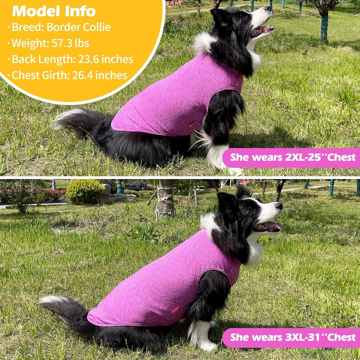 image:imageKYEESE 2 Pack Dog Shirts Quick Dry Soft Stretchy Pet TShirts with Reflective Label Tank Top Sleeveless Vest Sun Protection Dog Clothes for Small Medium Dogs XLarge PurplePink2 2Pack PurplePink