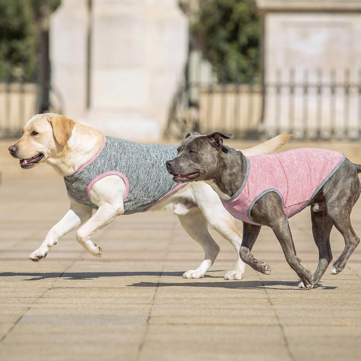 image:imageKYEESE 2 Pack Dog Shirts Quick Dry Soft Stretchy Pet TShirts with Reflective Label Tank Top Sleeveless Vest Sun Protection Dog Clothes for Small Medium Dogs XLarge PurplePink4 2Pack PinkGrey
