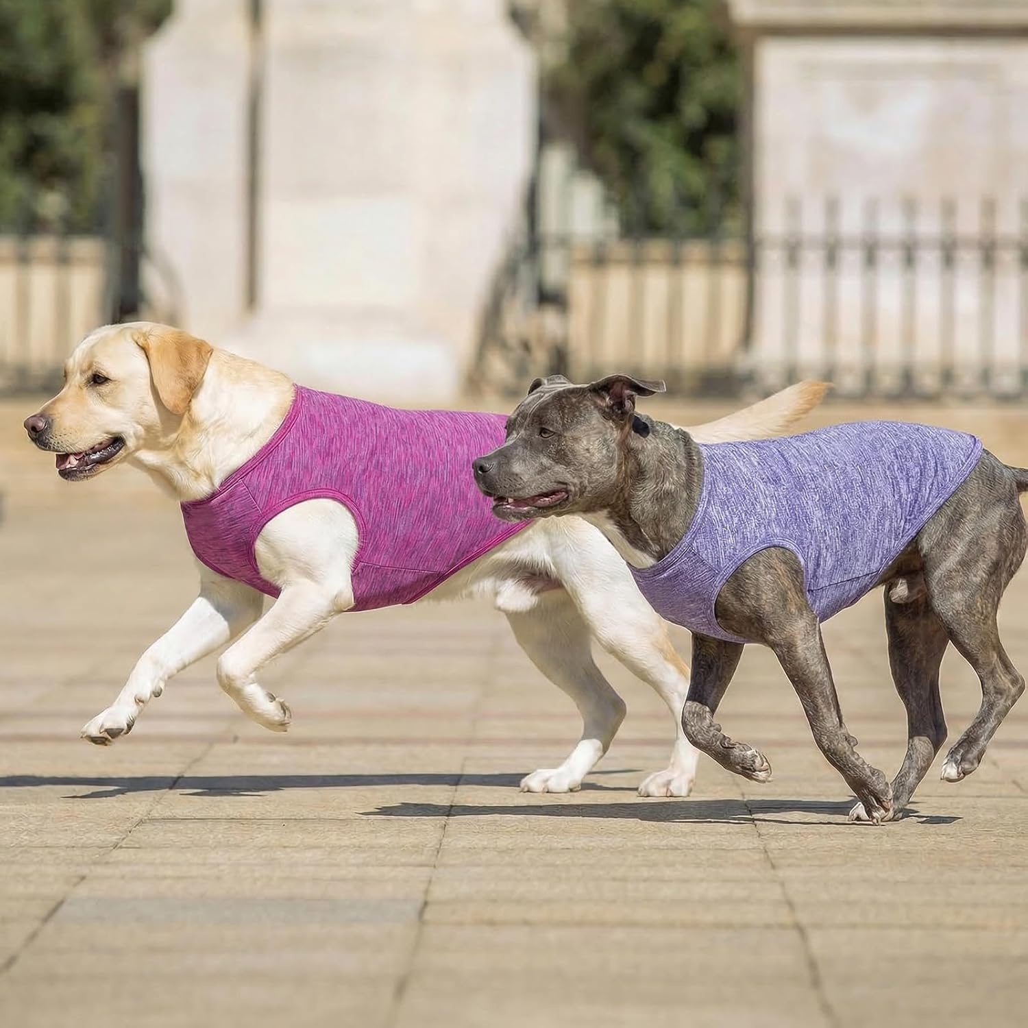 image:imageKYEESE 2 Pack Dog Shirts Quick Dry Soft Stretchy Pet TShirts with Reflective Label Tank Top Sleeveless Vest Sun Protection Dog Clothes for Small Medium Dogs XLarge PurplePink2 2Pack PurplePink