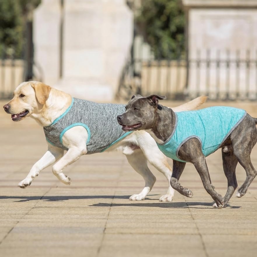 image:imageKYEESE 2 Pack Dog Shirts Quick Dry Soft Stretchy Pet TShirts with Reflective Label Tank Top Sleeveless Vest Sun Protection Dog Clothes for Small Medium Dogs XLarge PurplePink1 2Pack GreyBlue