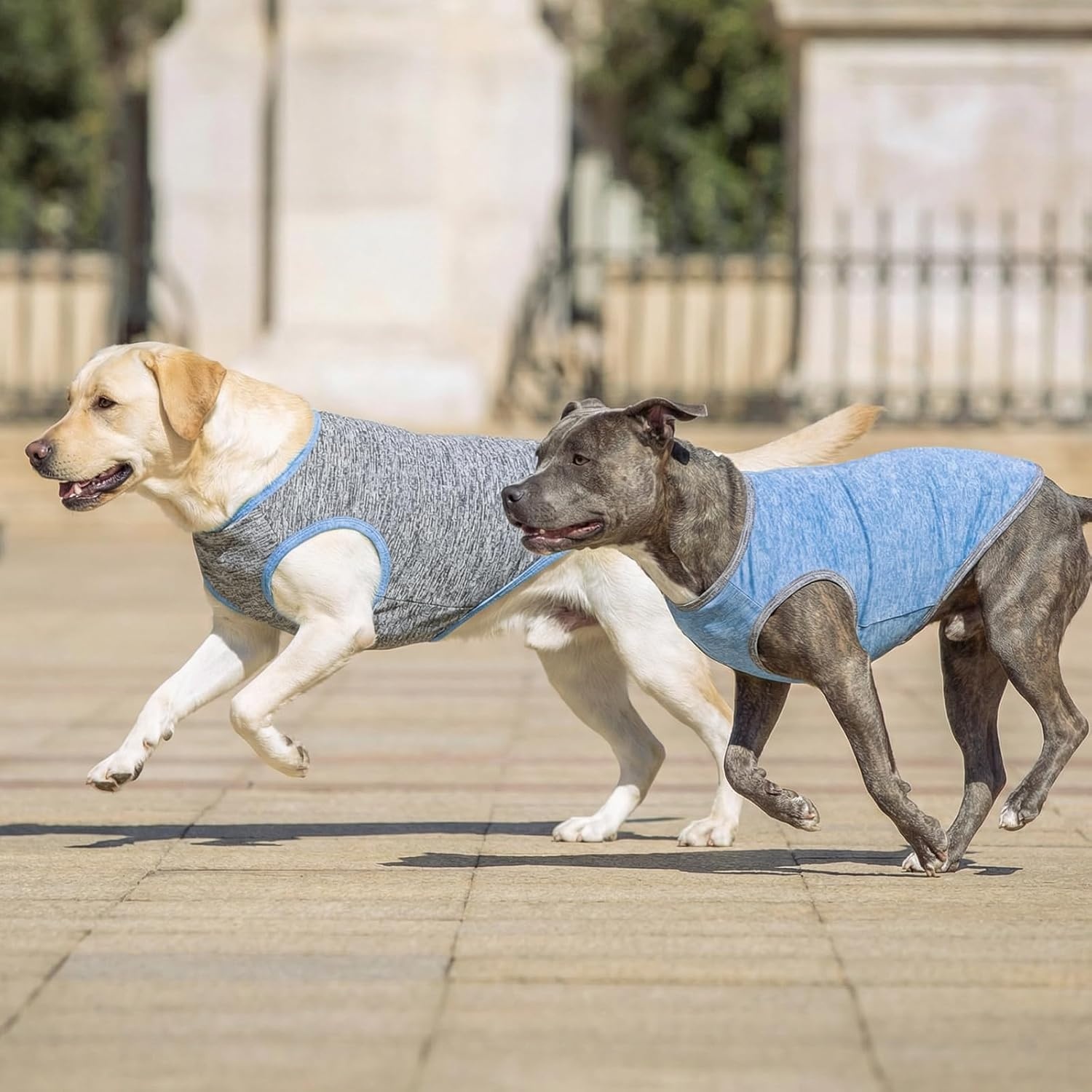 image:imageKYEESE 2 Pack Dog Shirts Quick Dry Soft Stretchy Pet TShirts with Reflective Label Tank Top Sleeveless Vest Sun Protection Dog Clothes for Small Medium Dogs XLarge PurplePink3 2Pack Light BlueGrey