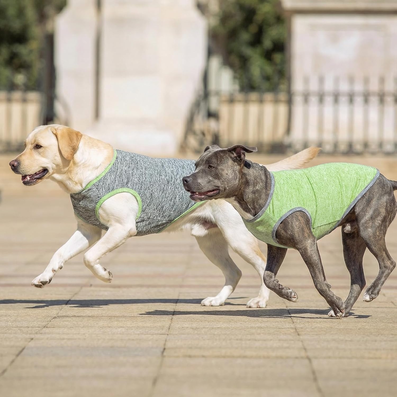 image:imageKYEESE 2 Pack Dog Shirts Quick Dry Soft Stretchy Pet TShirts with Reflective Label Tank Top Sleeveless Vest Sun Protection Dog Clothes for Small Medium Dogs XLarge PurplePink5 2Pack GreenGrey