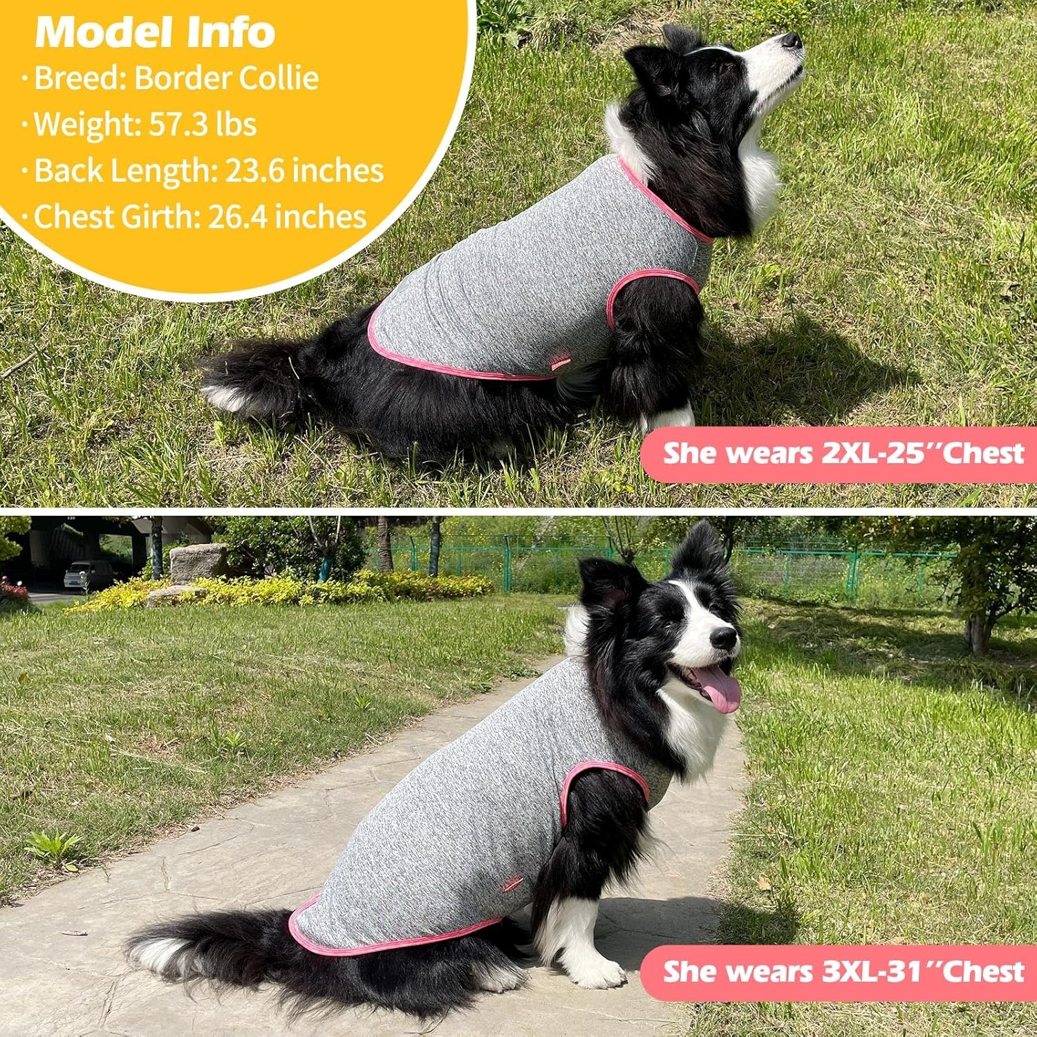 image:imageKYEESE 2 Pack Dog Shirts Quick Dry Soft Stretchy Pet TShirts with Reflective Label Tank Top Sleeveless Vest Sun Protection Dog Clothes for Small Medium Dogs XLarge PurplePink6 2Pack GreyHotpink