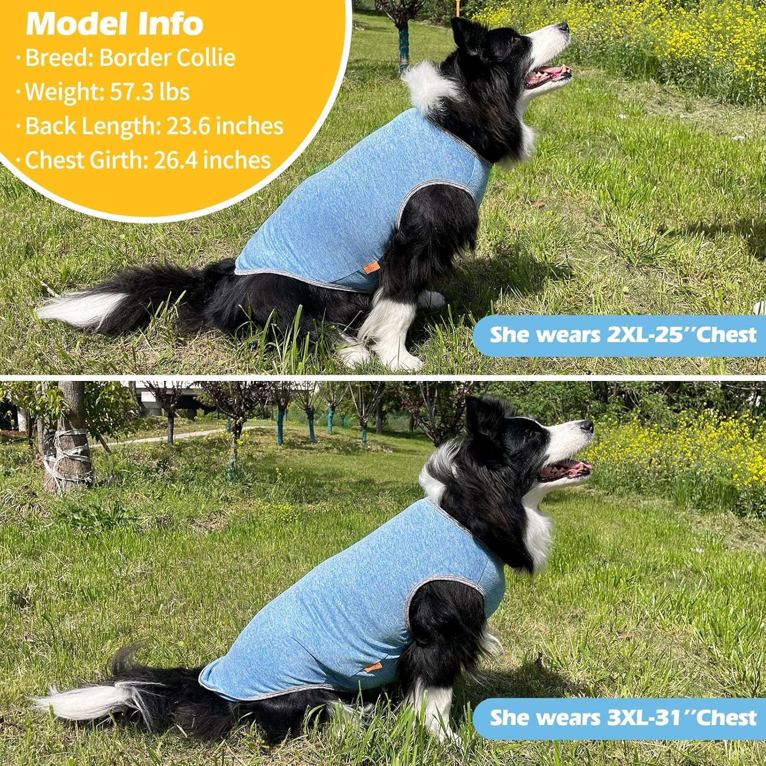 image:imageKYEESE 2 Pack Dog Shirts Quick Dry Soft Stretchy Pet TShirts with Reflective Label Tank Top Sleeveless Vest Sun Protection Dog Clothes for Small Medium Dogs XLarge PurplePink3 2Pack Light BlueGrey
