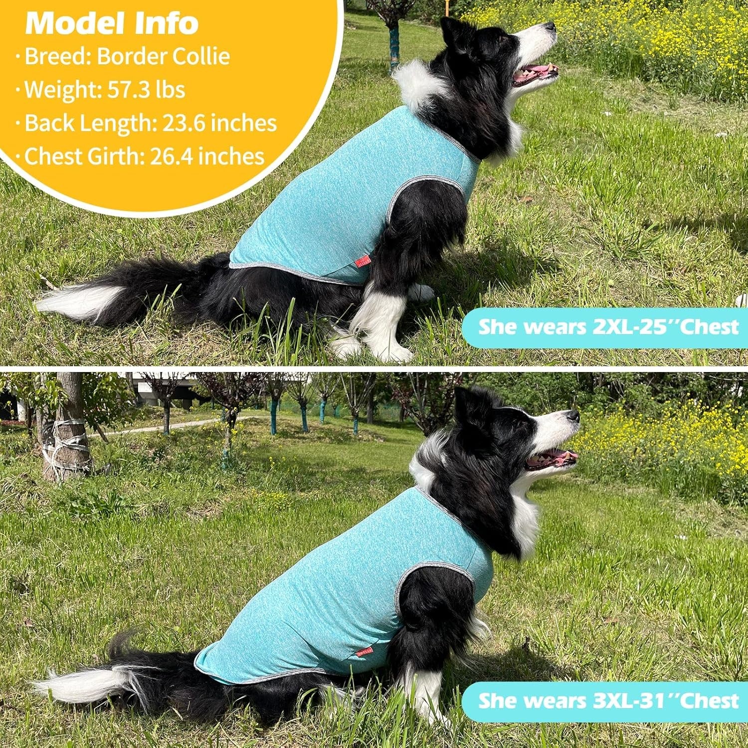 image:imageKYEESE 2 Pack Dog Shirts Quick Dry Soft Stretchy Pet TShirts with Reflective Label Tank Top Sleeveless Vest Sun Protection Dog Clothes for Small Medium Dogs XLarge PurplePink1 2Pack GreyBlue