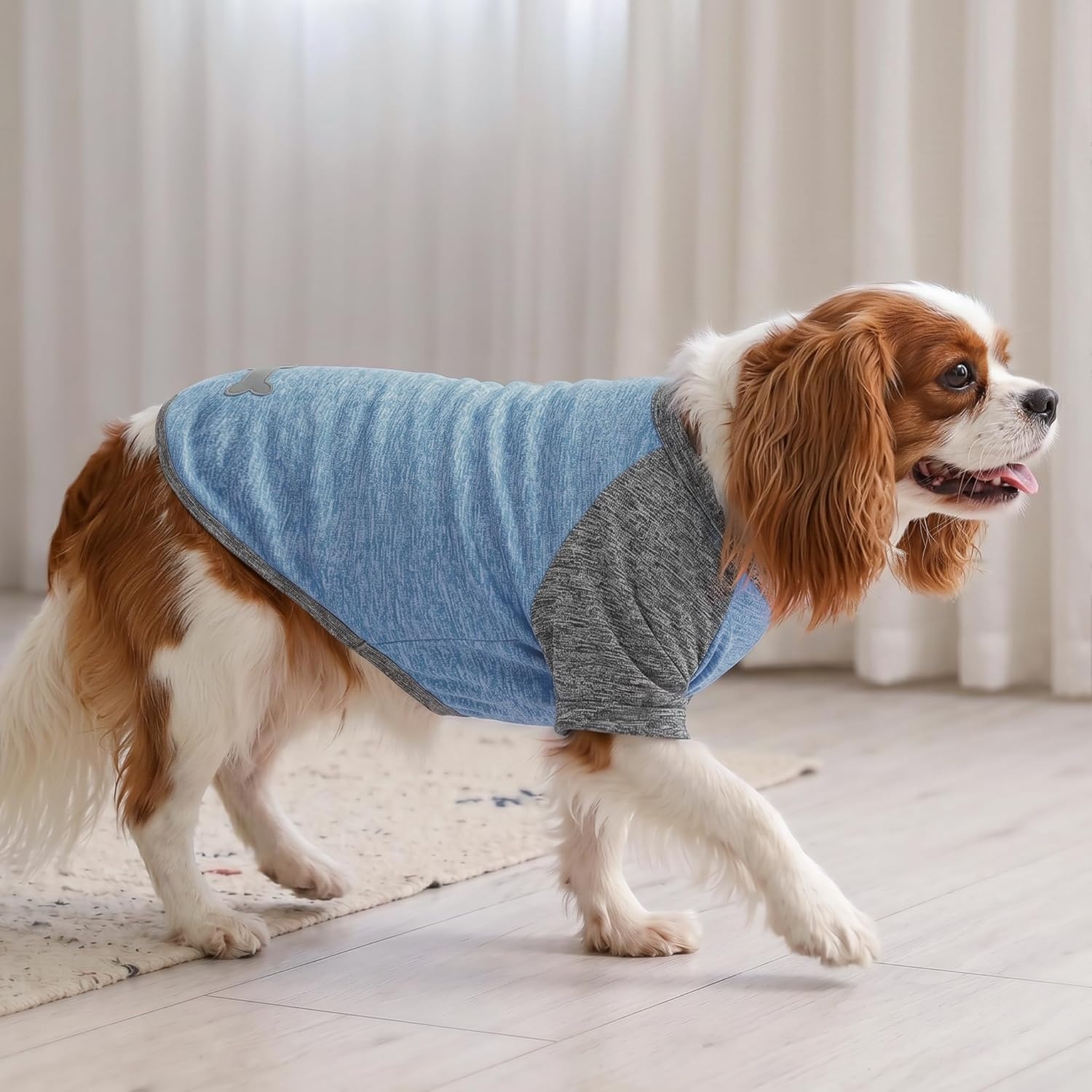 image:imageKYEESE 2 Pack Dog Shirts with Sleeves Lightweight Sun Protection Quick Dry TShirts for Medium Dogs with Sensitive Skin Soft Breathable Summer Clothes Reflective for Night Walks Blue amp Grey XL1 2PackBlueGrey
