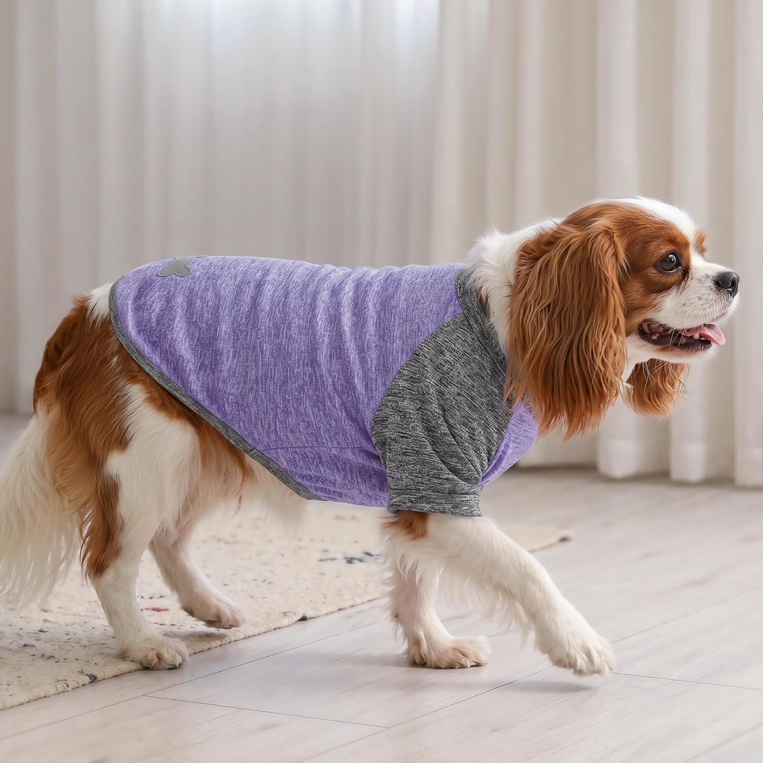 image:imageKYEESE 2 Pack Dog Shirts with Sleeves Lightweight Sun Protection Quick Dry TShirts for Medium Dogs with Sensitive Skin Soft Breathable Summer Clothes Reflective for Night Walks Blue amp Grey XL4 2PackPurpleGrey