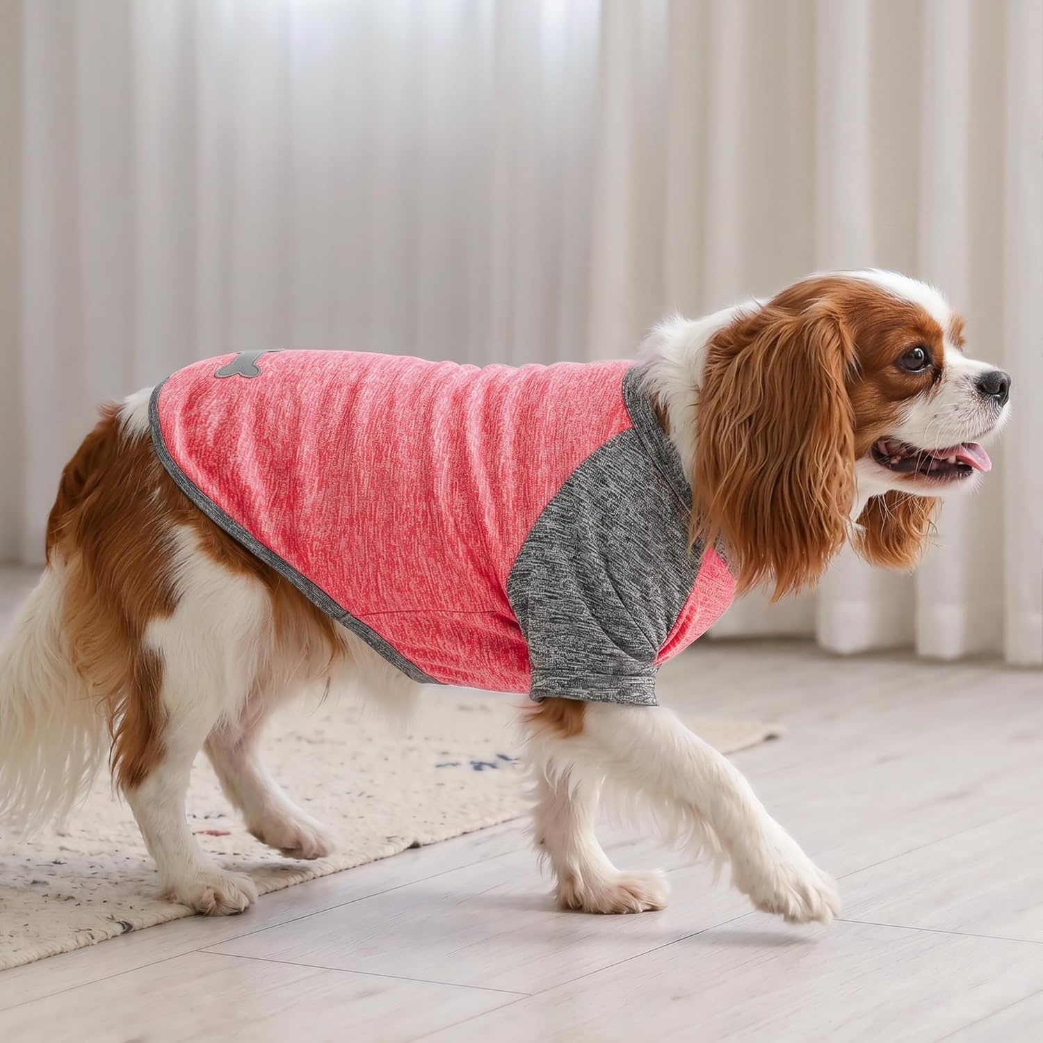 image:imageKYEESE 2 Pack Dog Shirts with Sleeves Lightweight Sun Protection Quick Dry TShirts for Medium Dogs with Sensitive Skin Soft Breathable Summer Clothes Reflective for Night Walks Blue amp Grey XL5 2PackCoral RedGrey